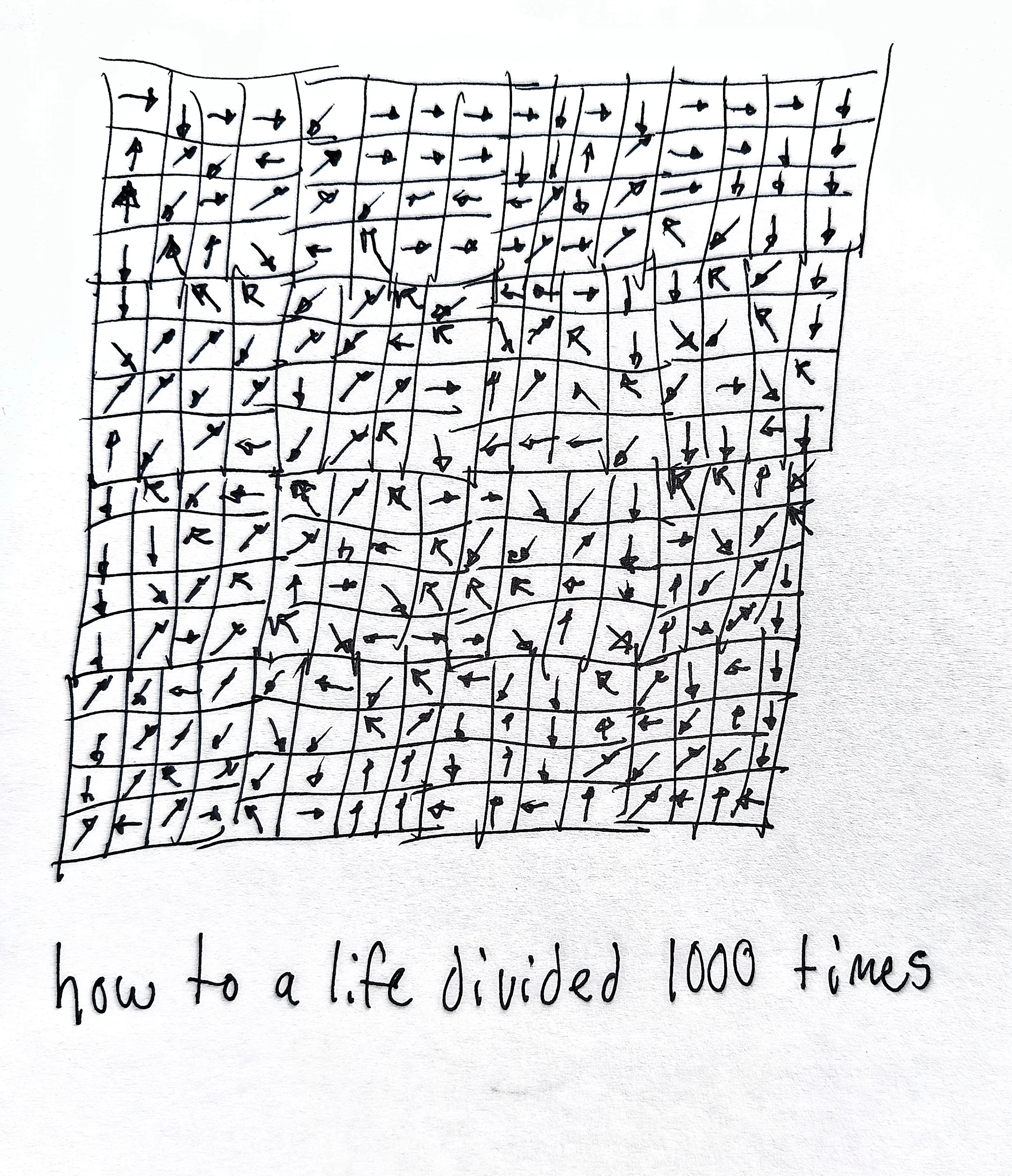1000033624.jpg