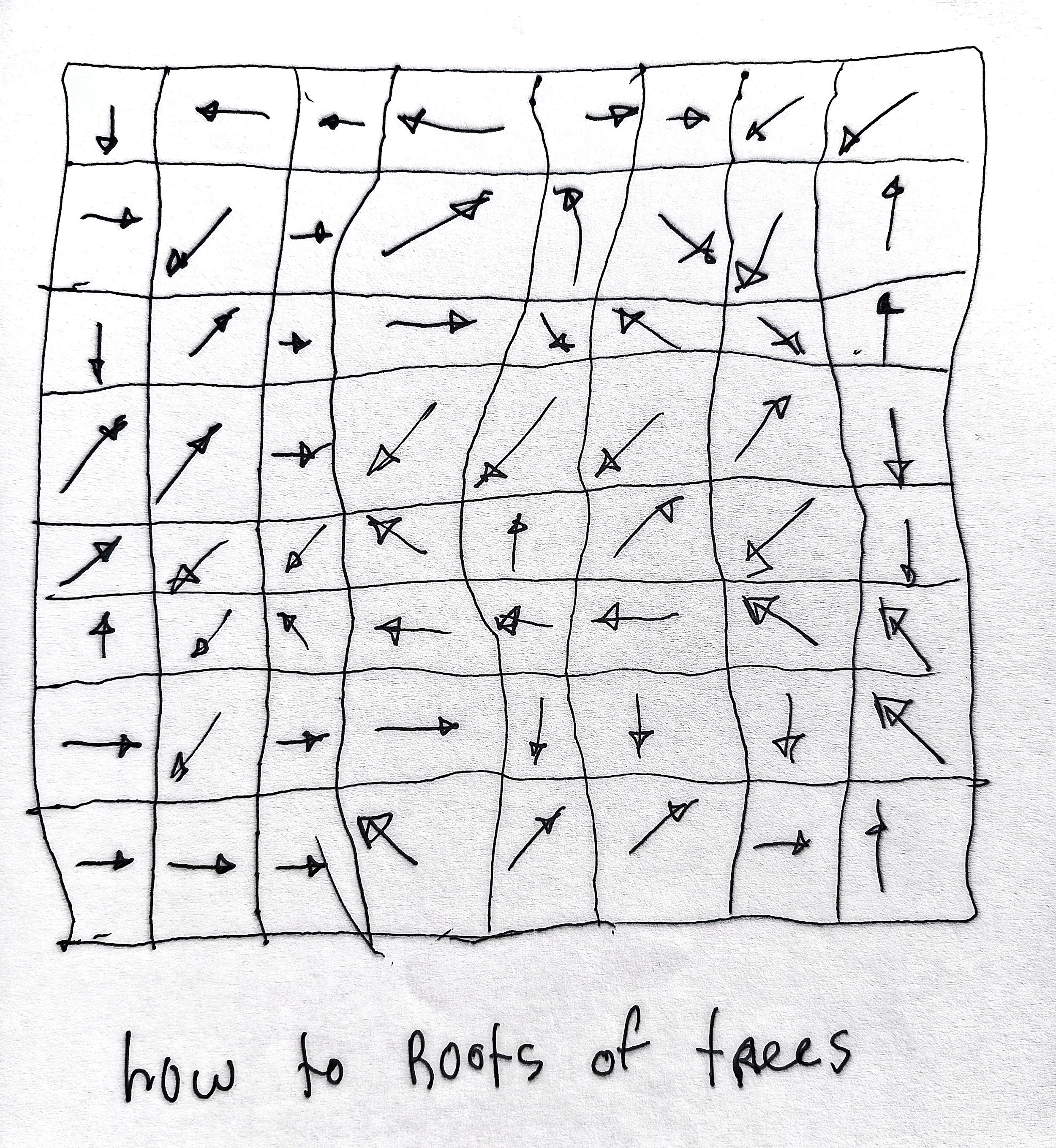 1000033644.jpg