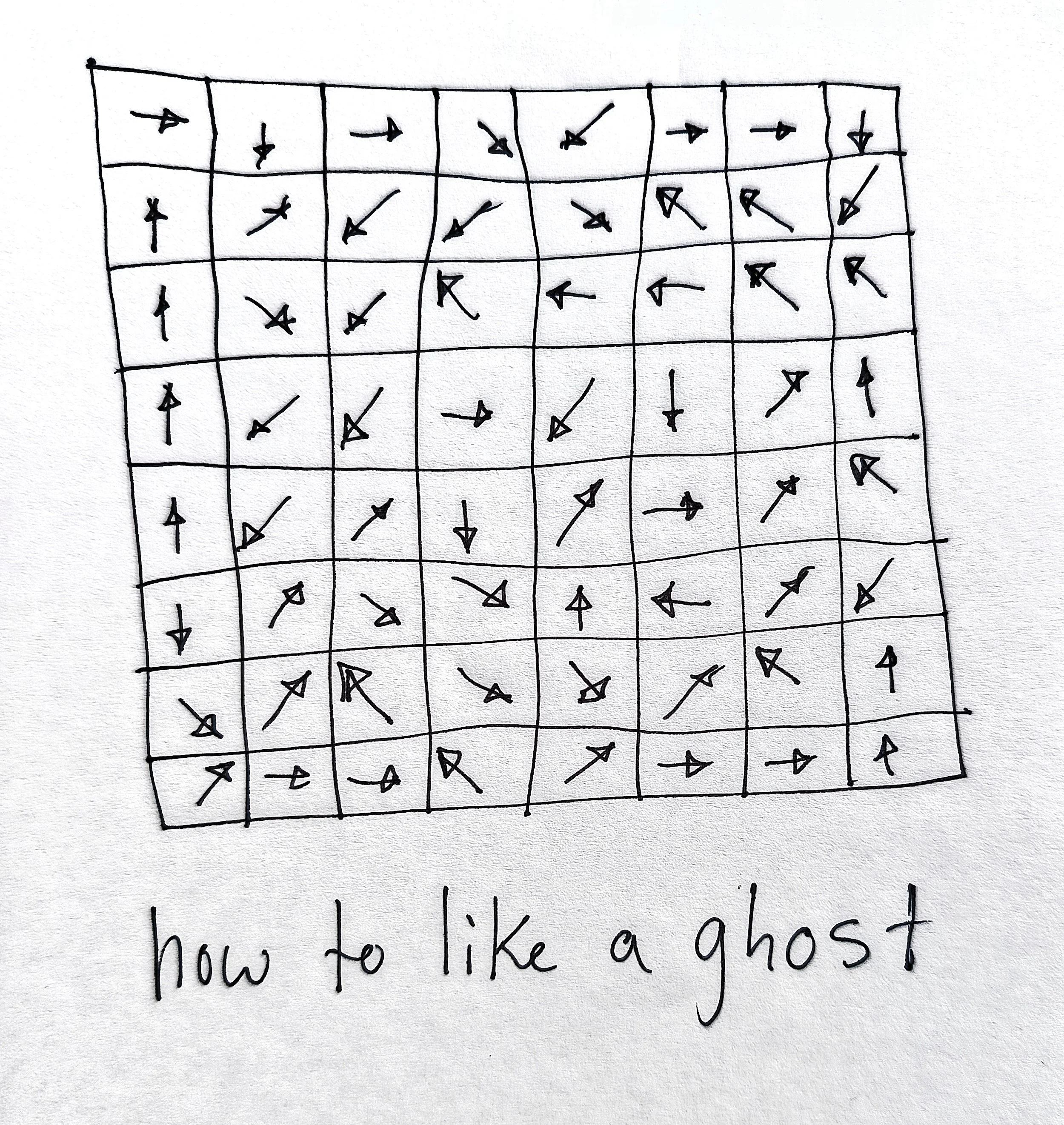 1000033675.jpg
