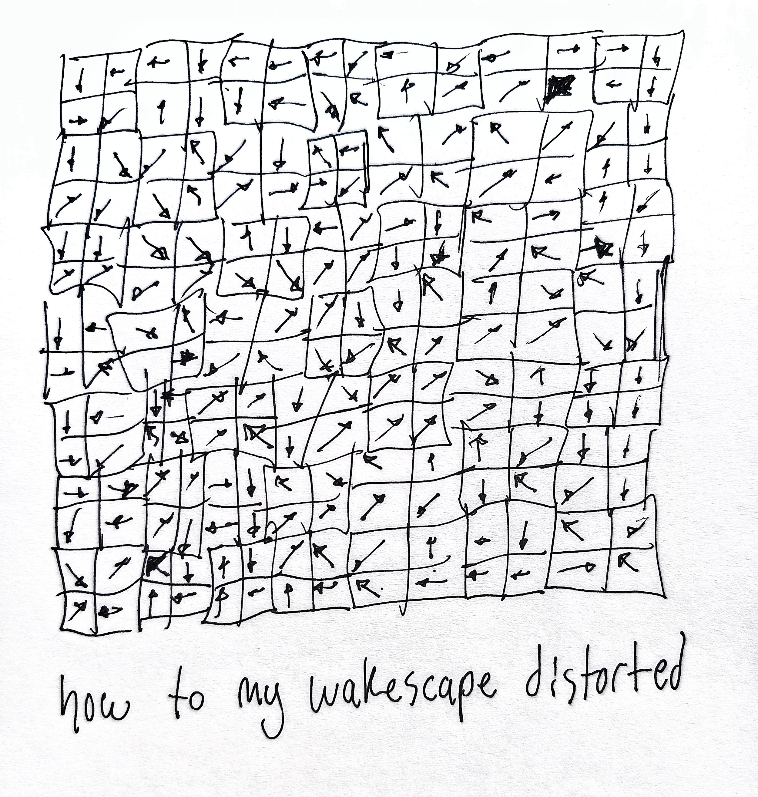 1000033621.jpg