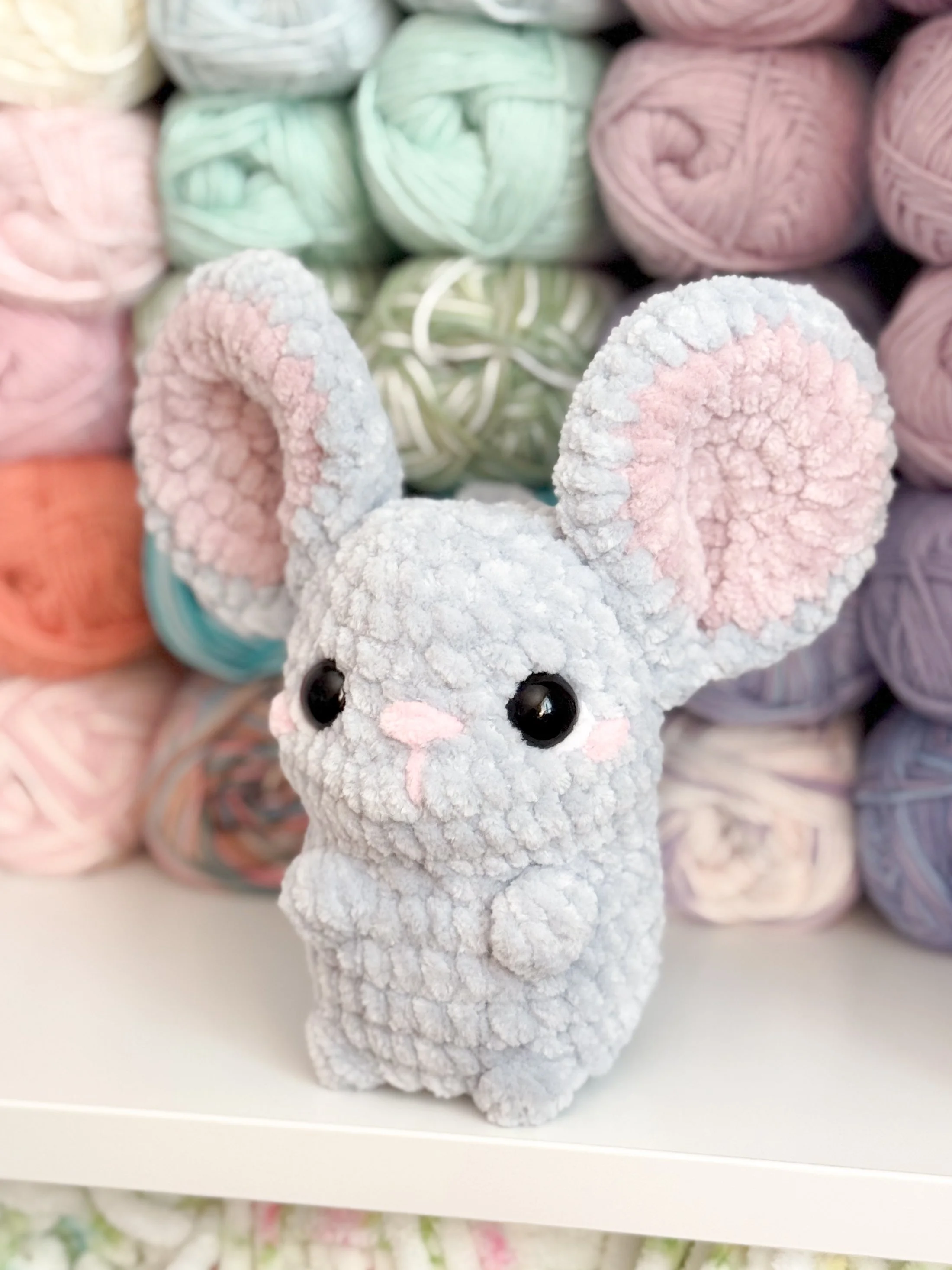 Chinchilla.JPG