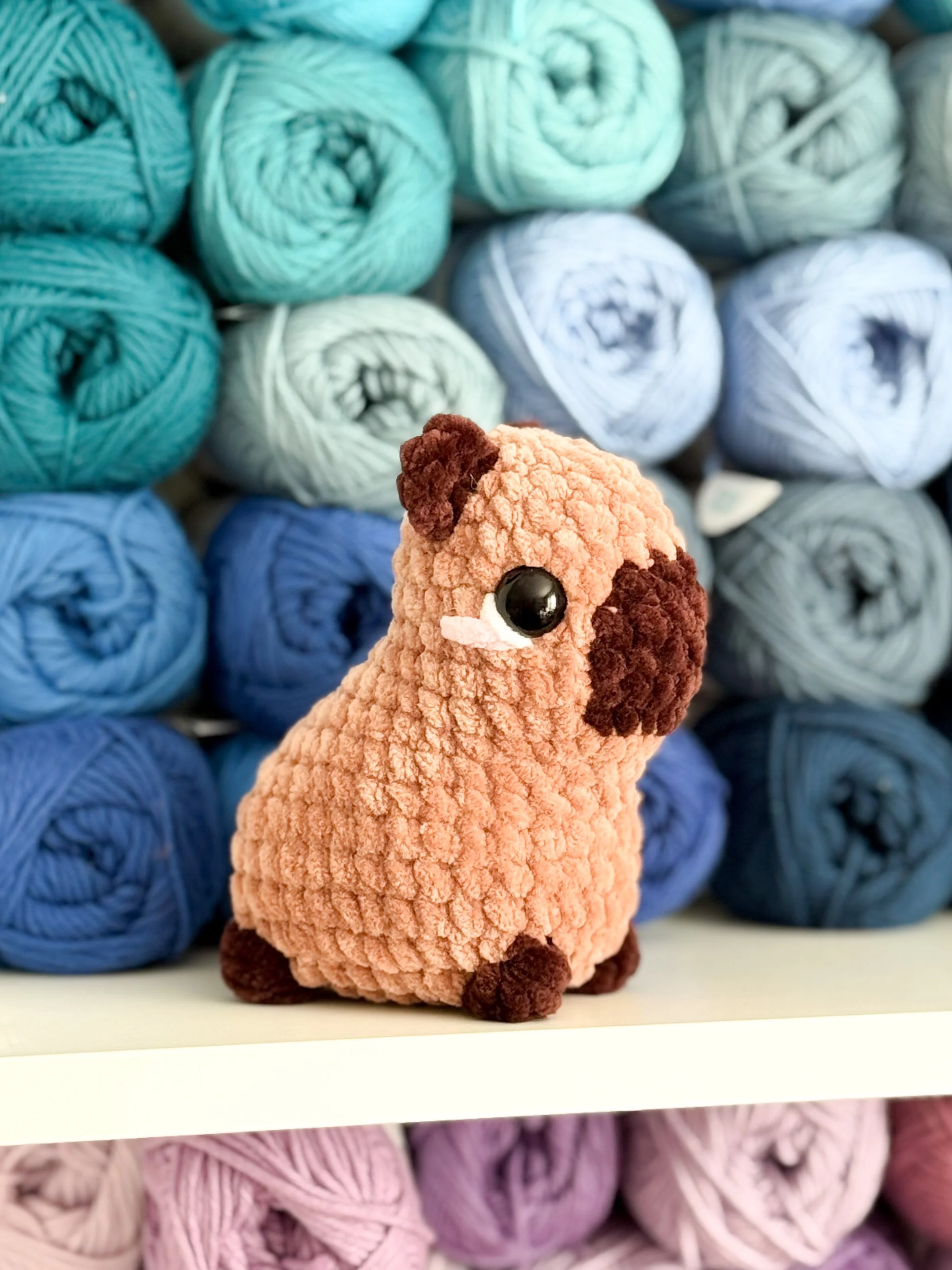 Capybara.JPG