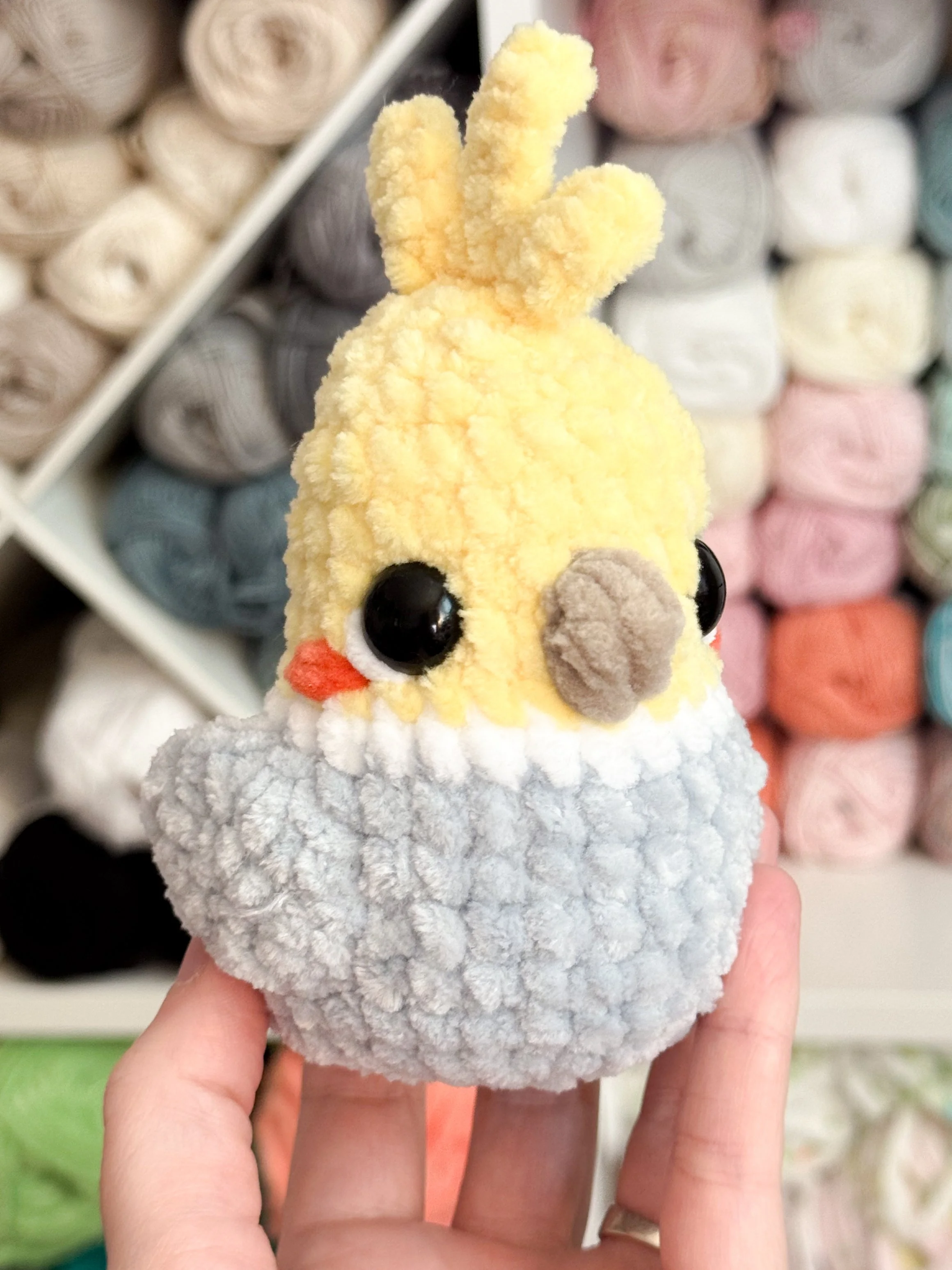 Cockatiel.JPG