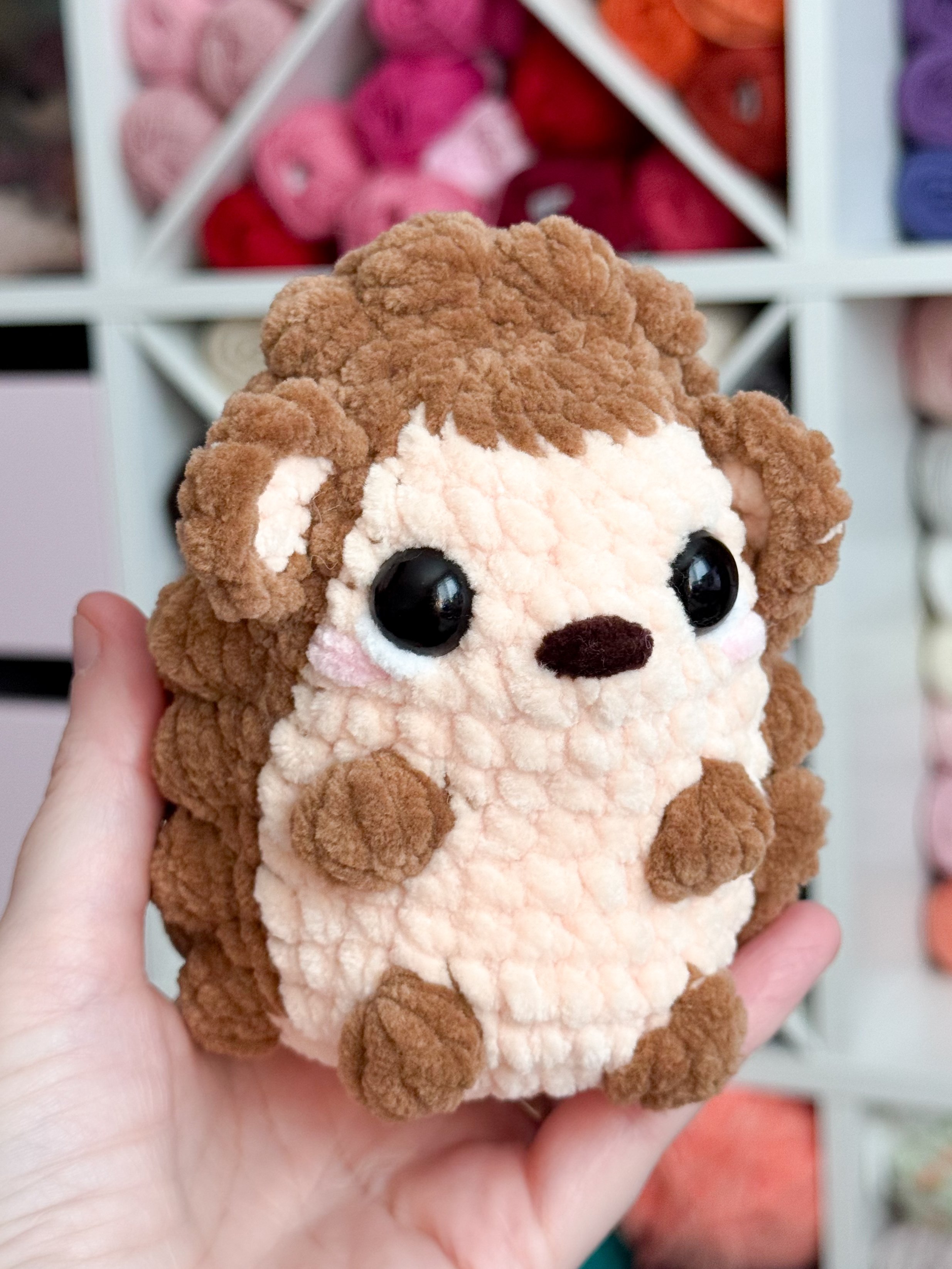 Hedgehog.JPG