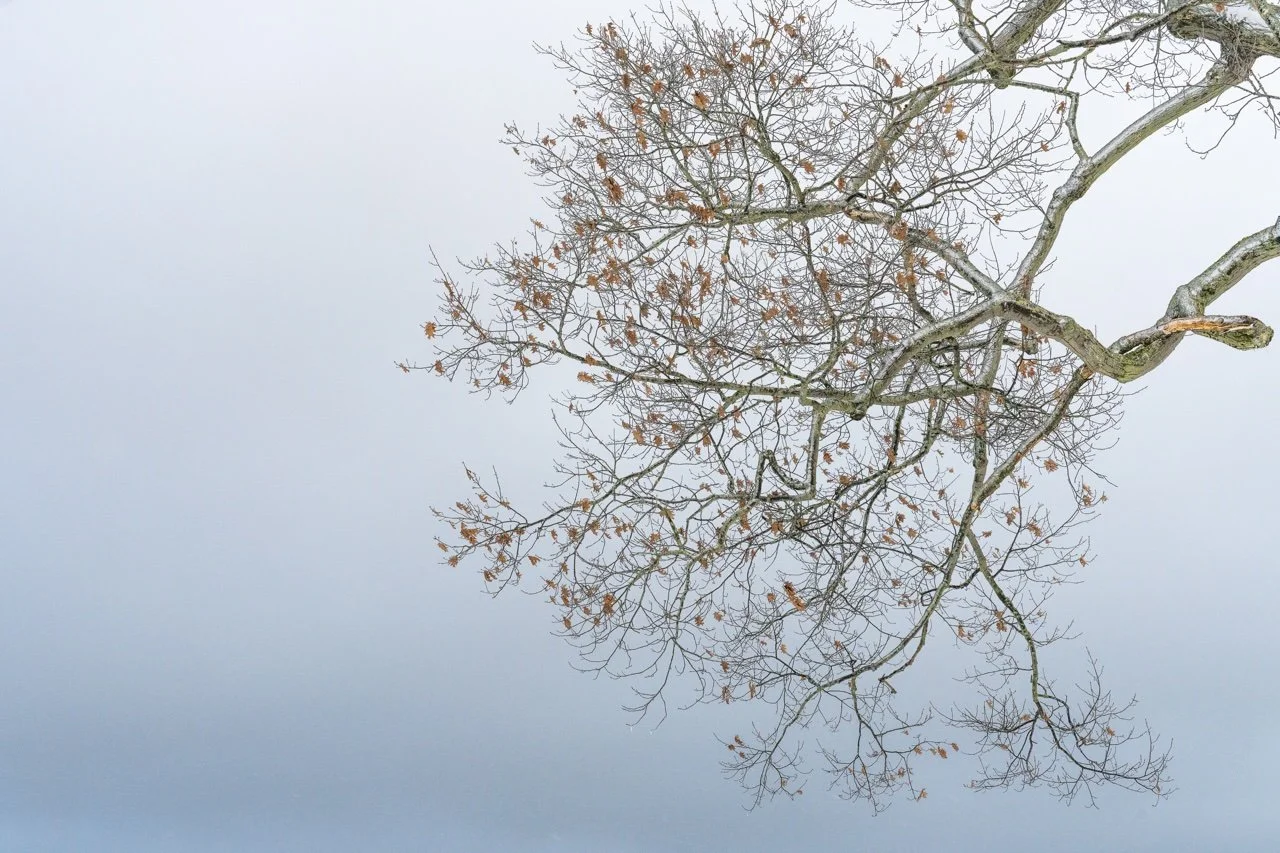 Exhibition: A Different Light: Landscapes by Gwen Norton