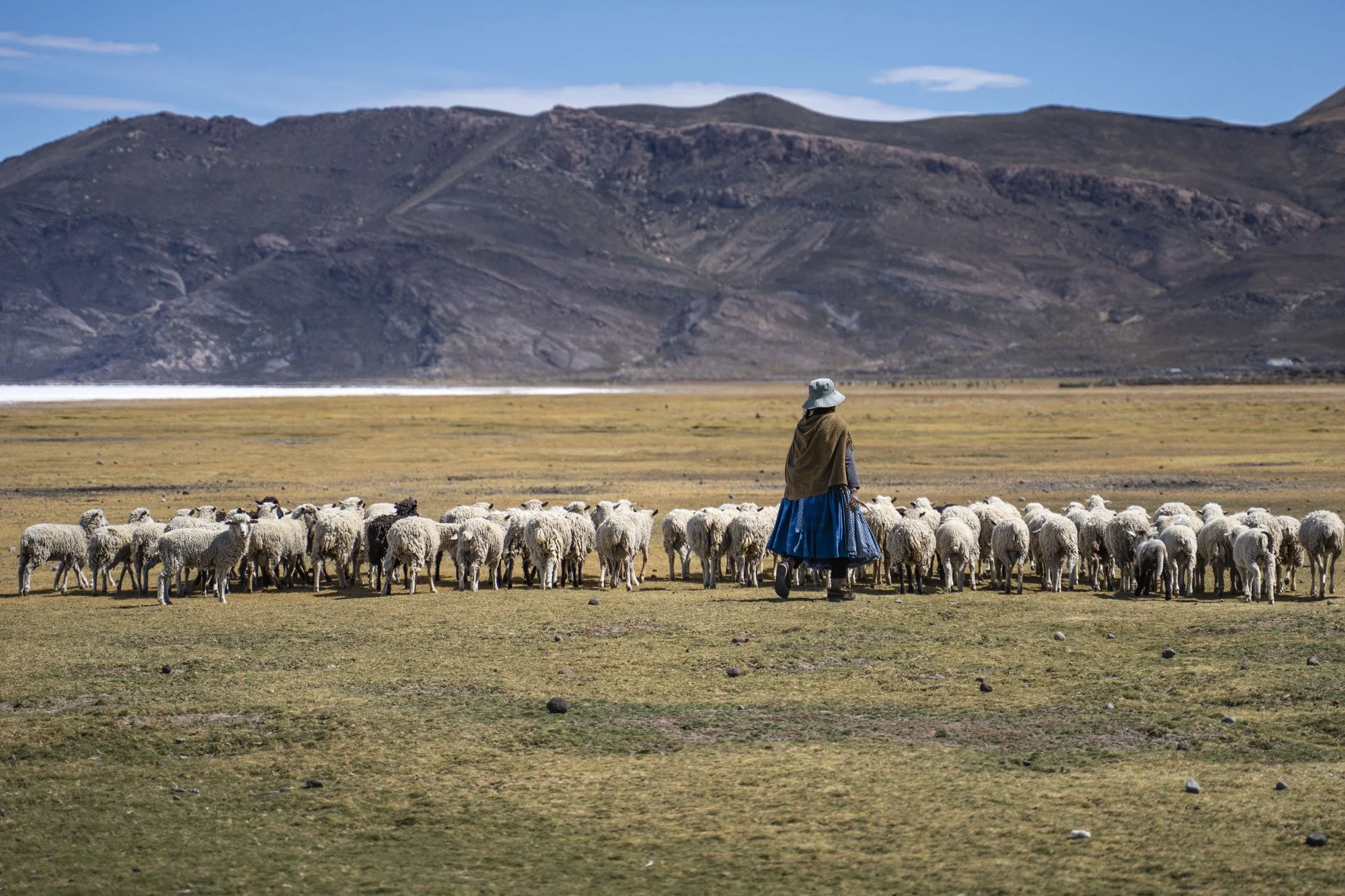bolivia2019_©gwennorton-11.jpg
