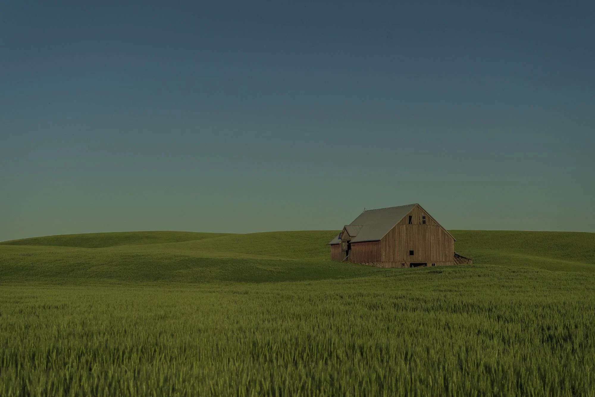 palouse2015_©gwennorton-11.jpg
