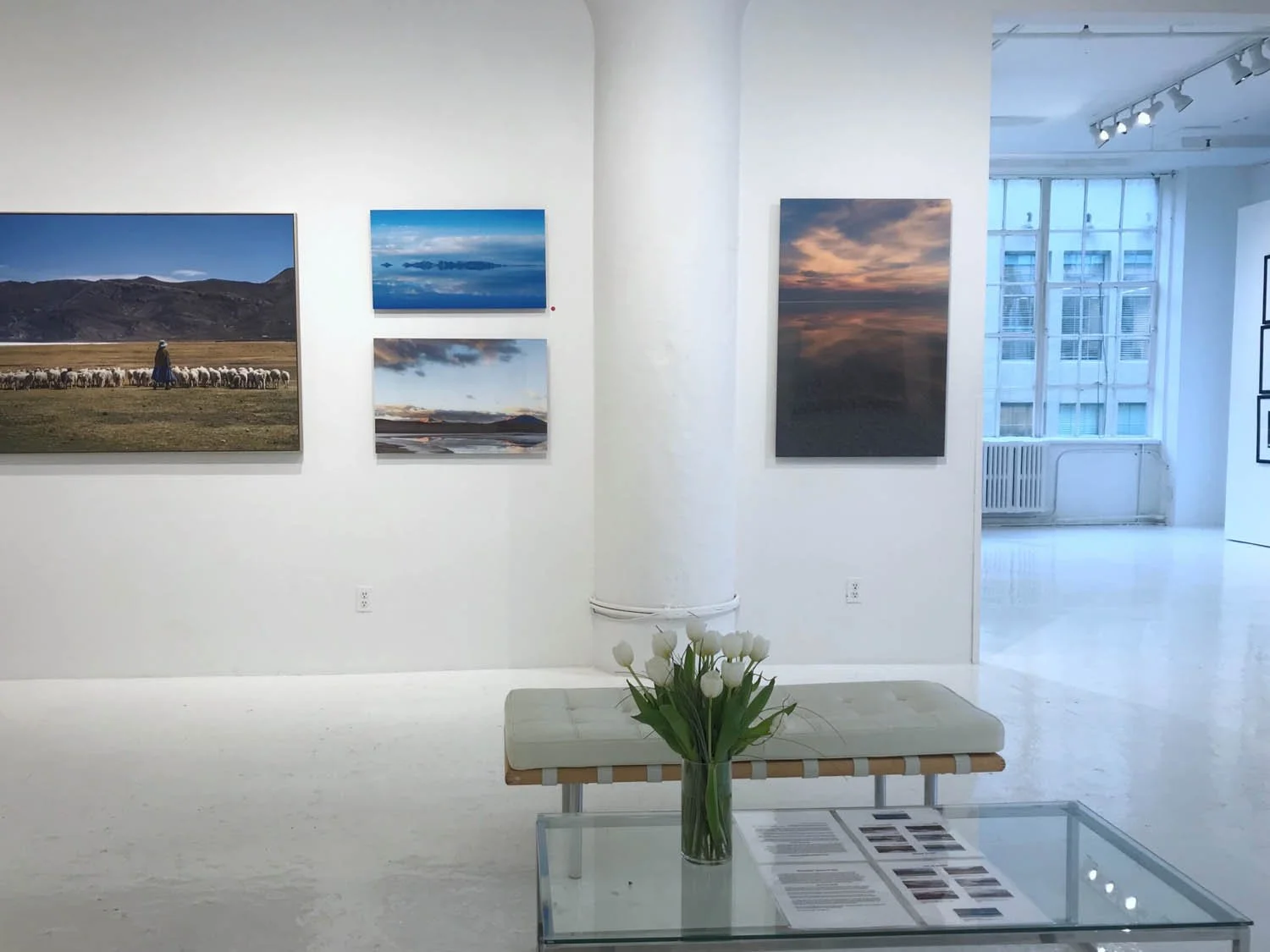 installations-gwen-norton-photography7.jpg
