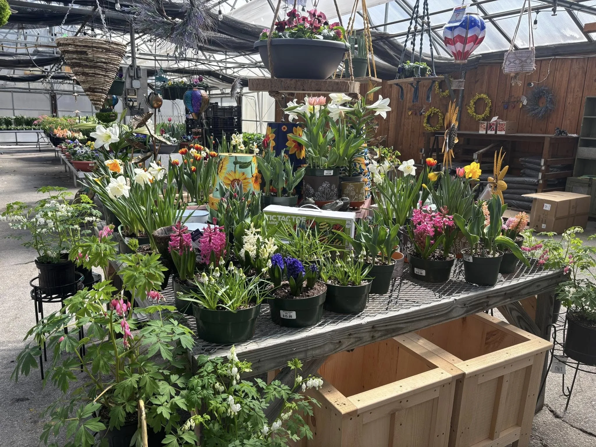 Nurseries offer plant, shrub, and flower options galore!