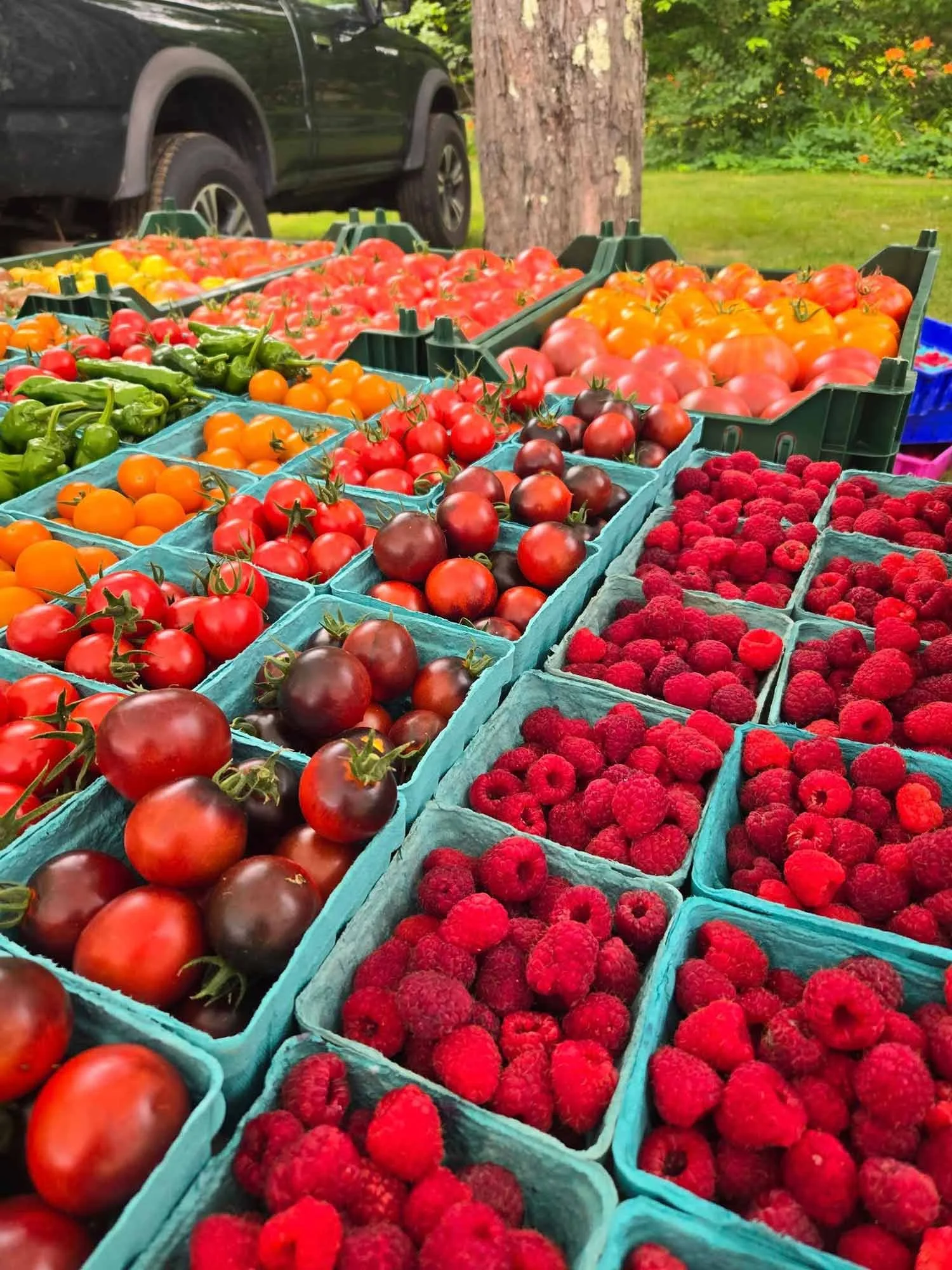 Photo credit: Deep Meadow Farm