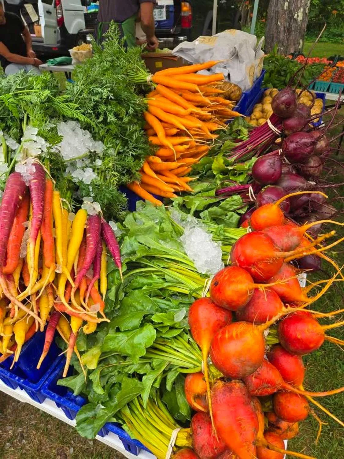 Photo credit: Deep Meadow Farm