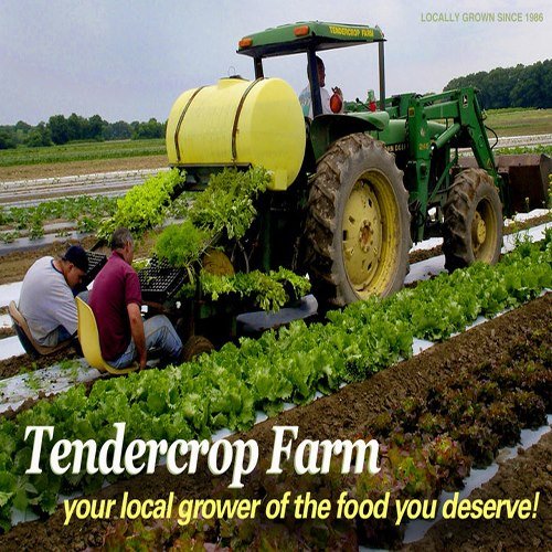 tendercrop.jpg