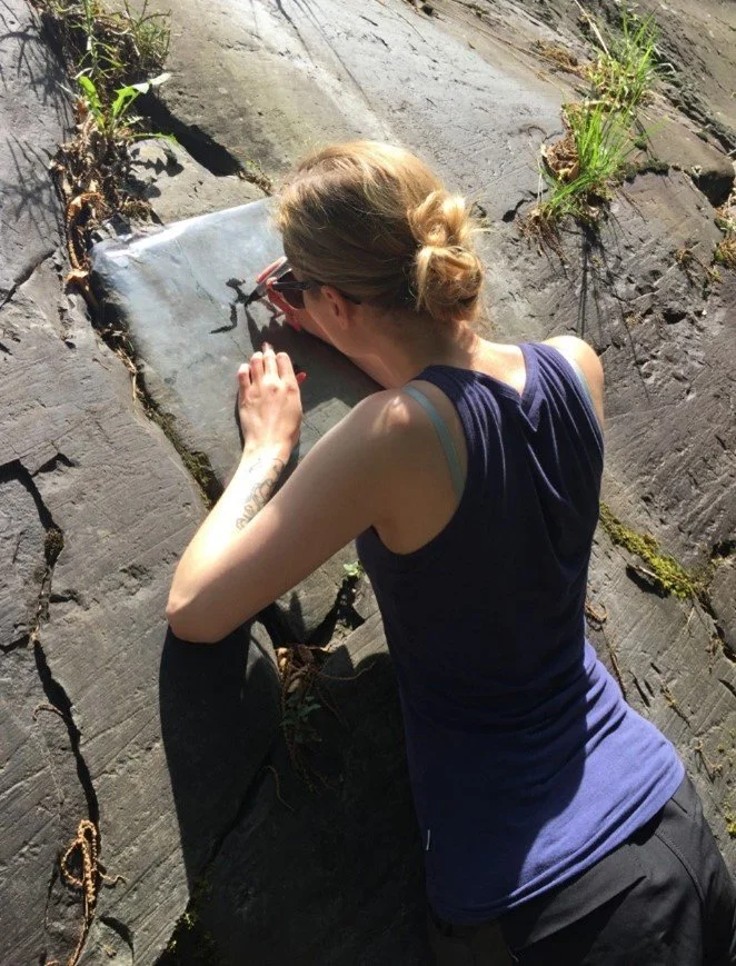 Studiereise til Valcamonica