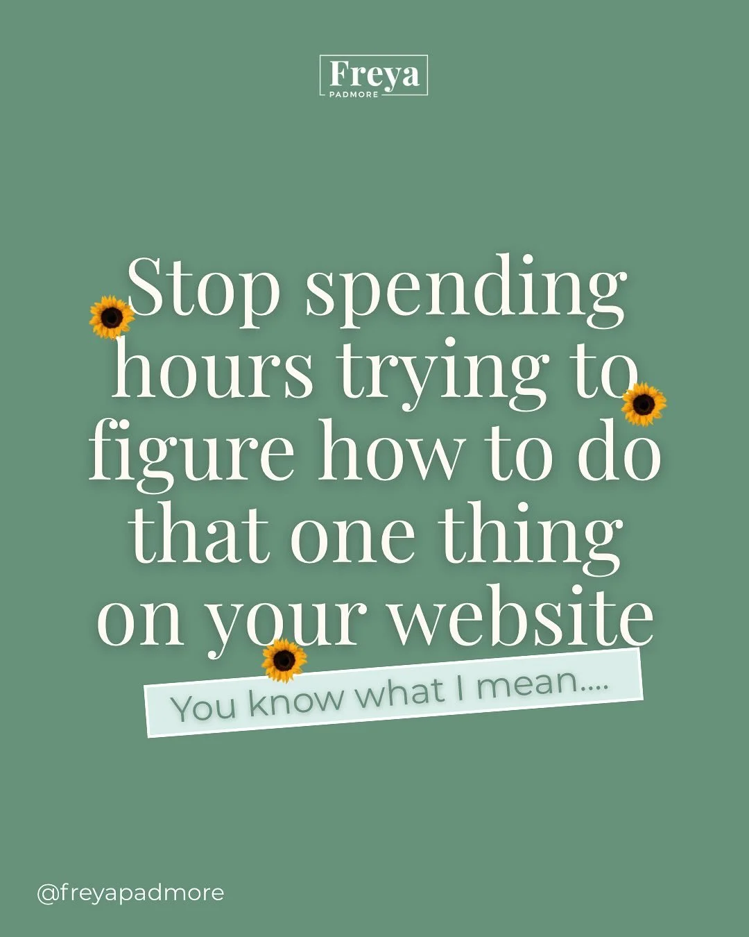 STOP wasting hours trying to get your website perfect 😭

You don&rsquo;t need to spend hours trying to make that one thing look right.

Make that text box align the right way.

Make that button slightly smaller.

Get your website to do that ONE thin