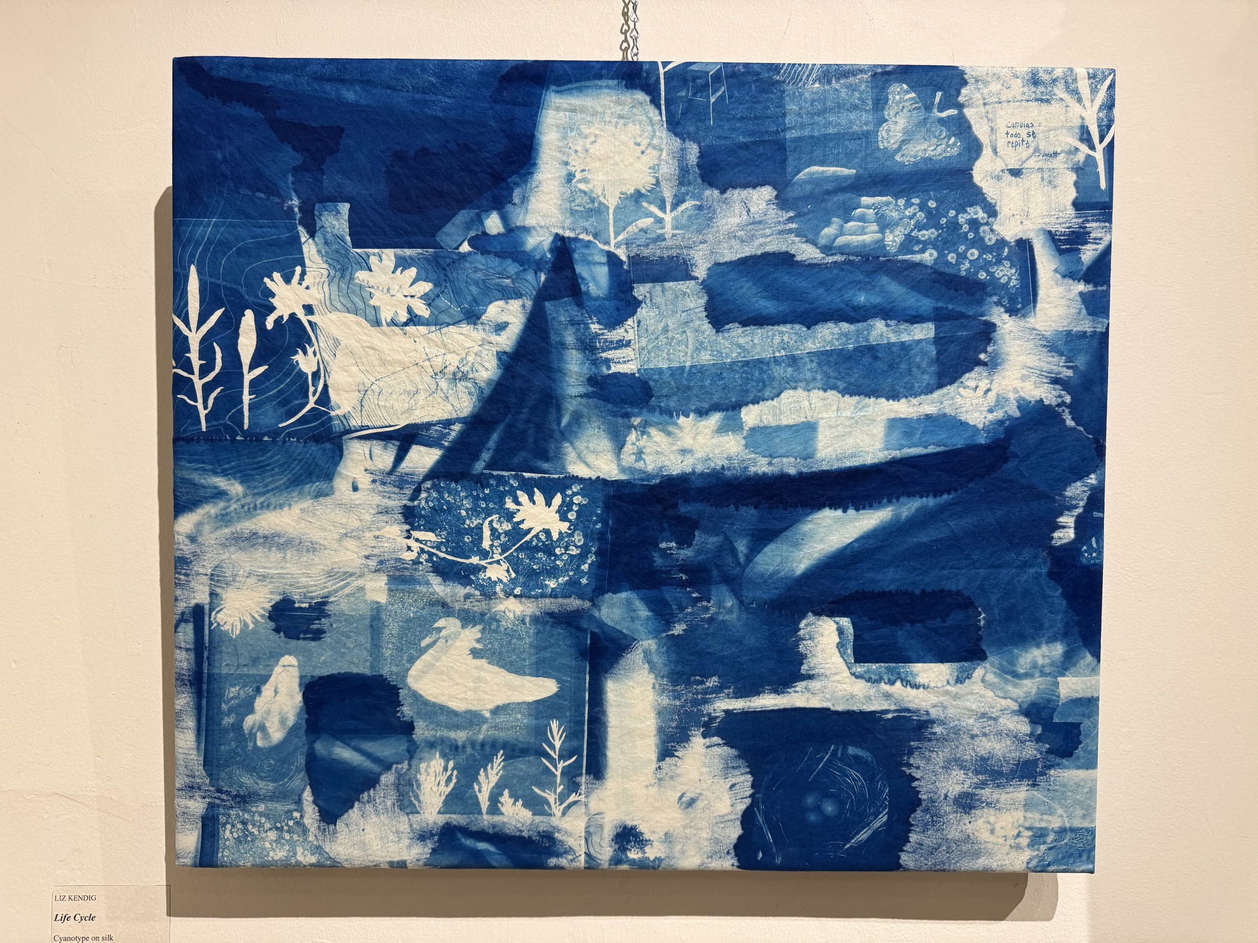 Life Cycle - multiple exposure cyanotype collage on silk, botanicals, negatives, drawn maps