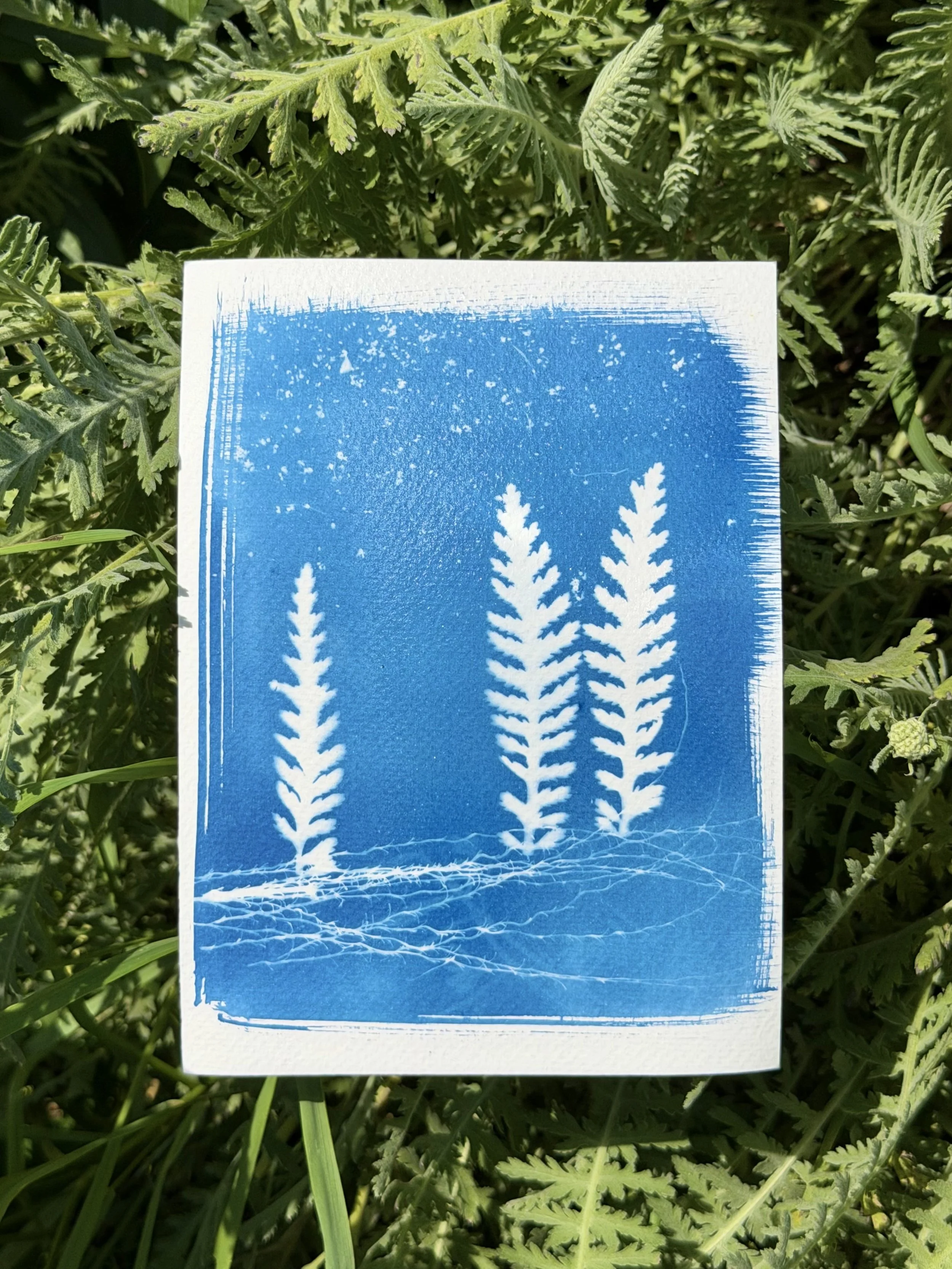 IMG_5614.jpeg