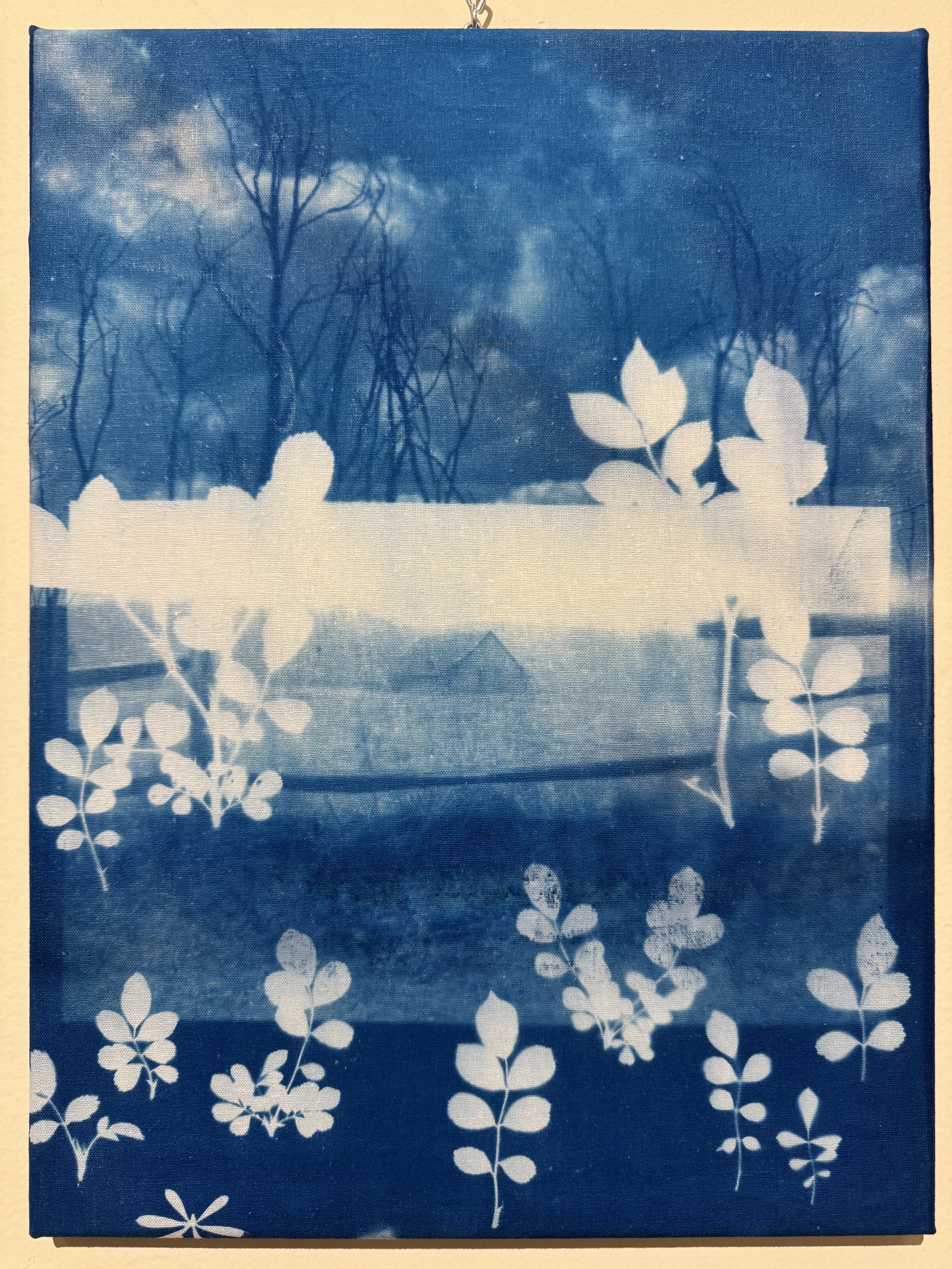 brambles and brandywine