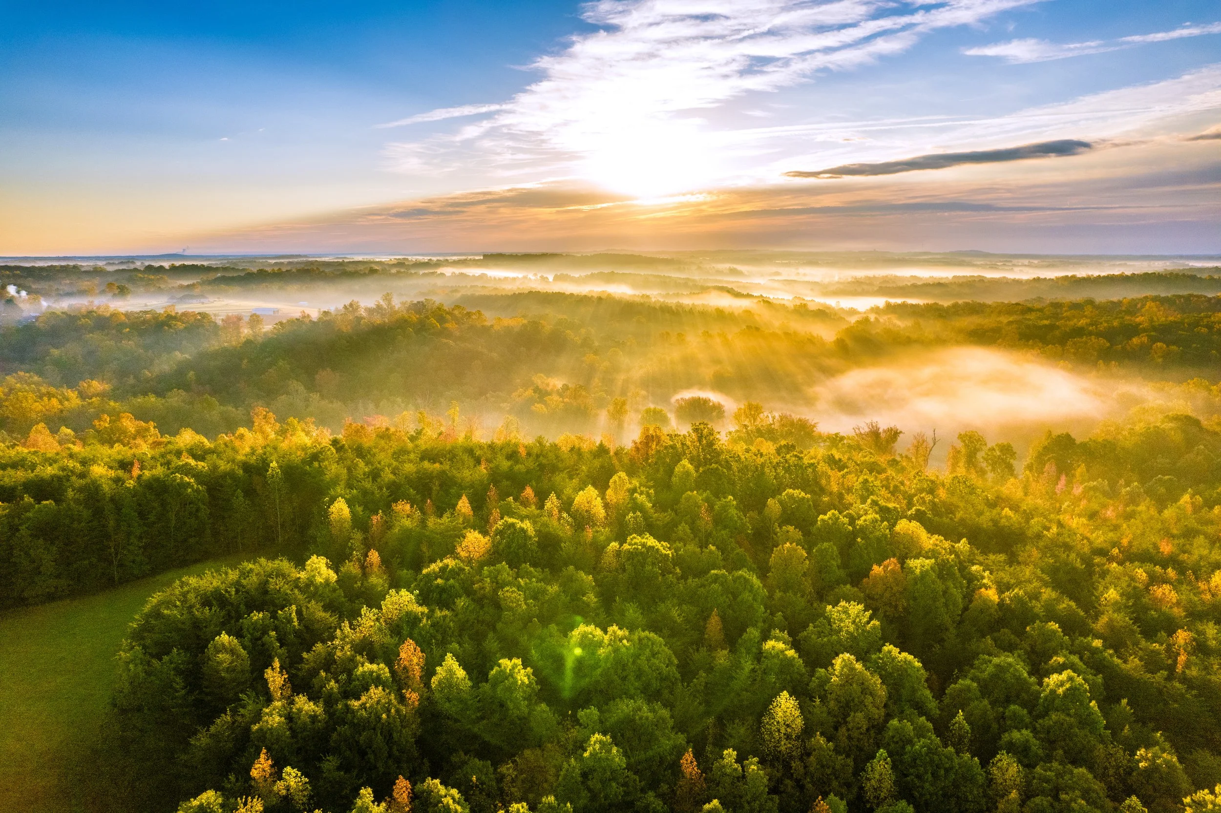 B25B6171-5229-43C2-B791-CC7A154B69F7 (1).JPEG