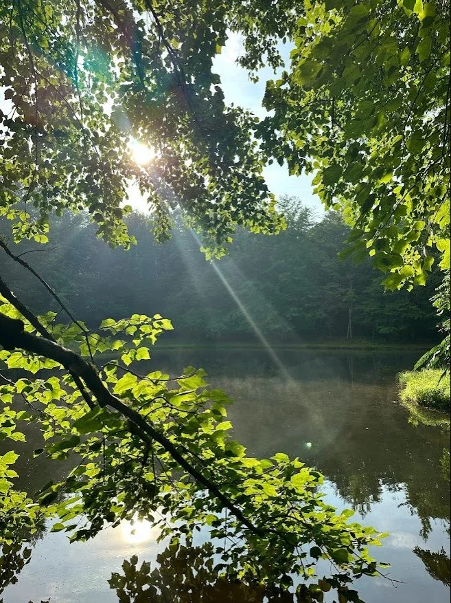 Screenshot 2024-03-08 202035.jpg