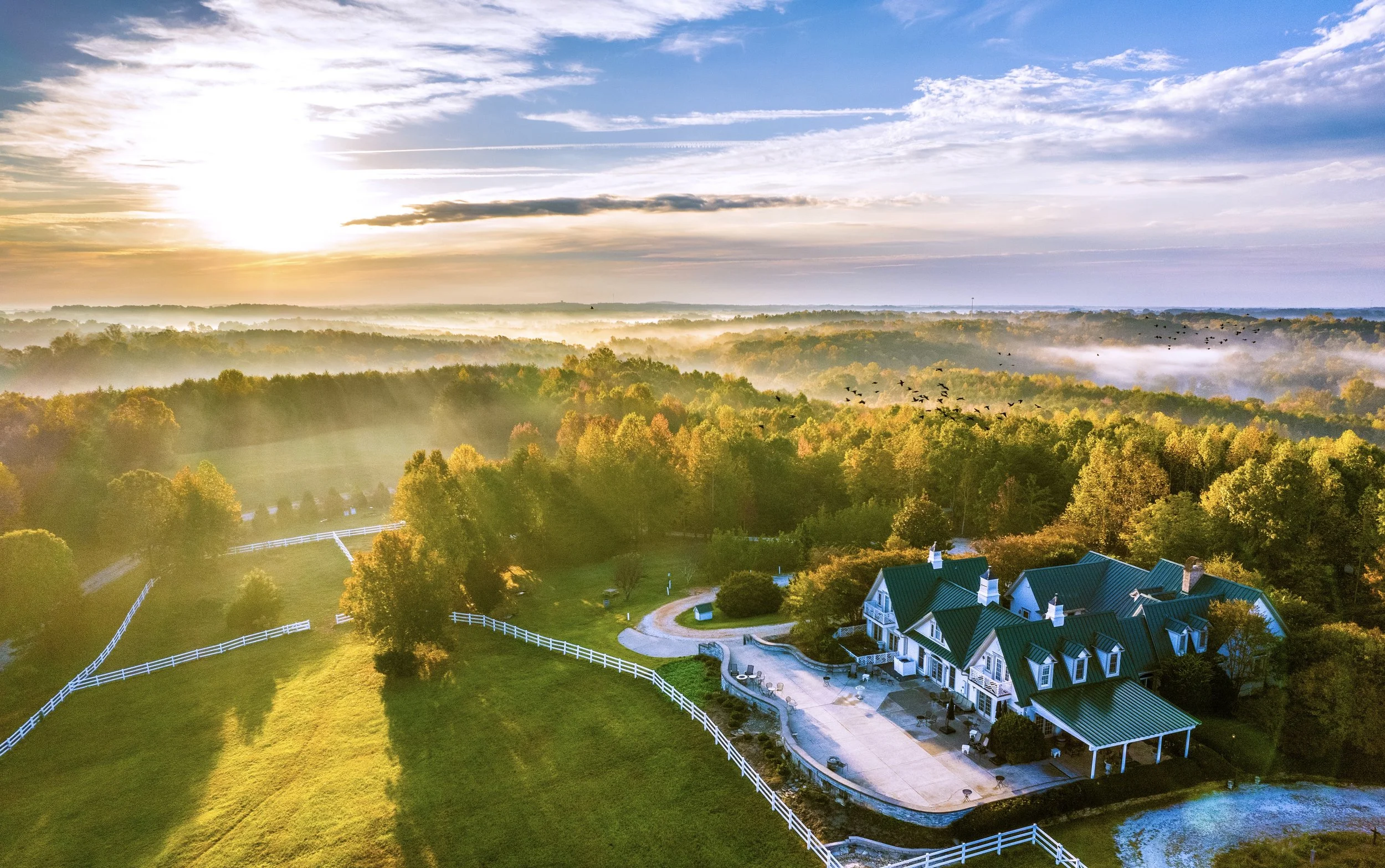 90B3574E-E9A3-4FA9-A07A-CE55AADCFFB1 (1).jpg