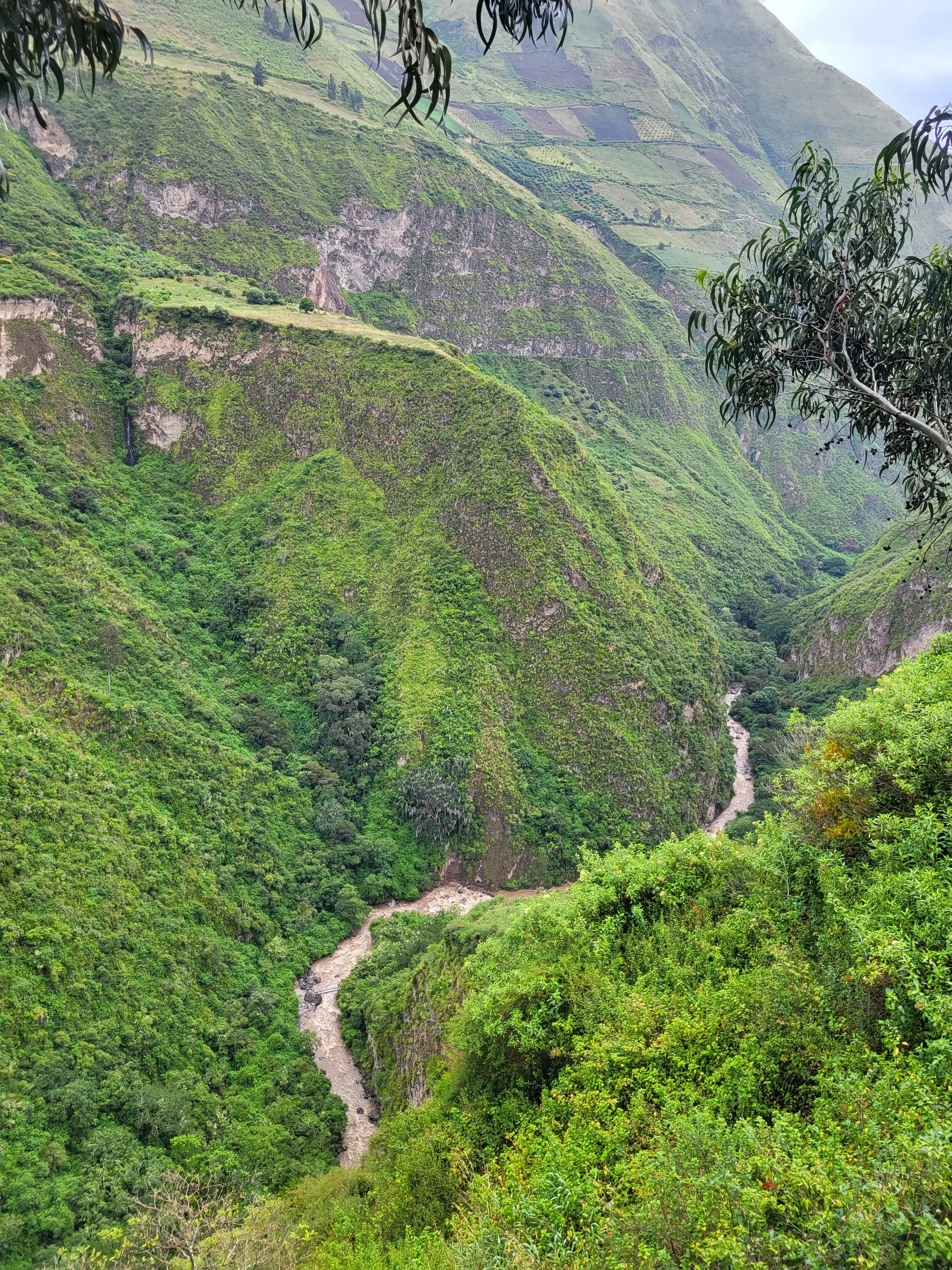 Lush green mountains with terraced fields and a winding river at the valley bottom, framed by tree branches.