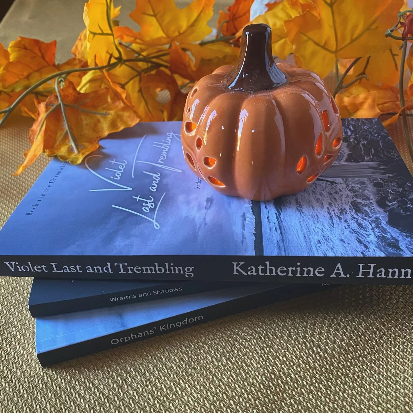I may be biased, but I happen to think this finished trilogy makes perfect October reading.

#finishedseries #completedseries #completedtrilogy #violetlastandtrembling #tbr #octobervibes #fallvibes #toread #highfantasy #epicfantasybookseries #literar