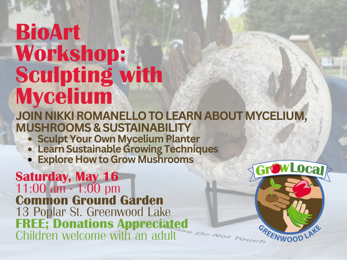 BioArt Workshop: Sculpting with Mycelium