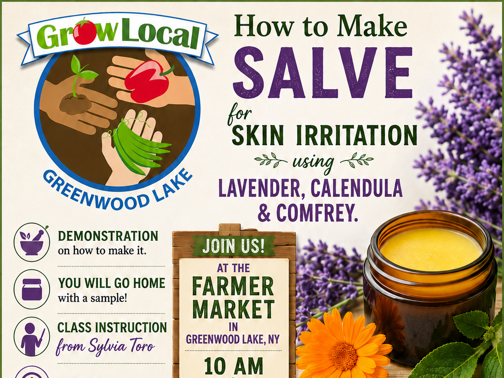 How to Make Salve for Skin Irritation with Sylvia Toro