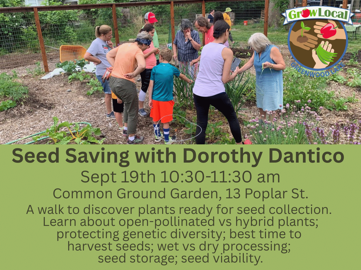 Seed Saving Workshop
