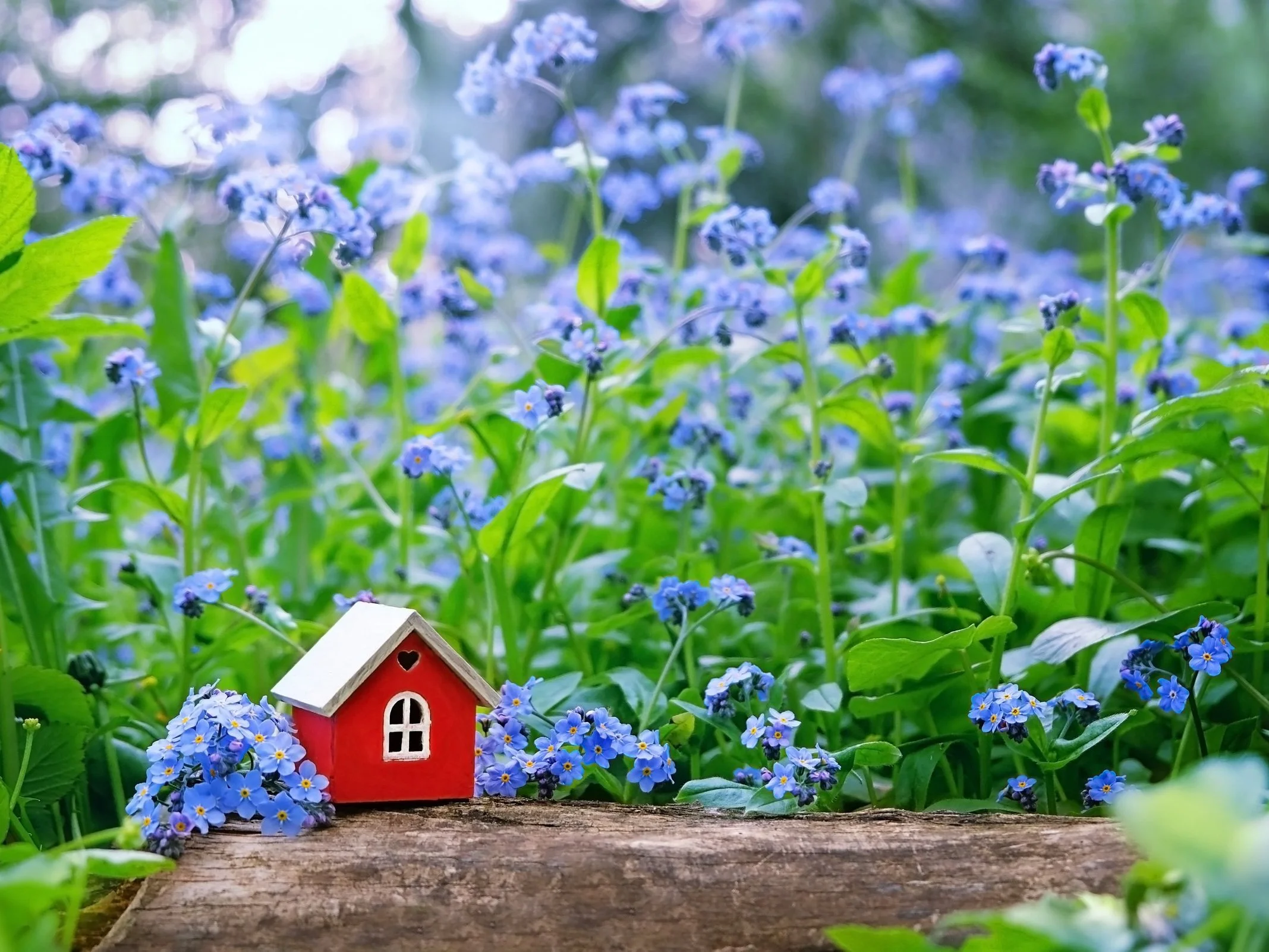 What Are the Experts Saying About the Spring Housing Market?