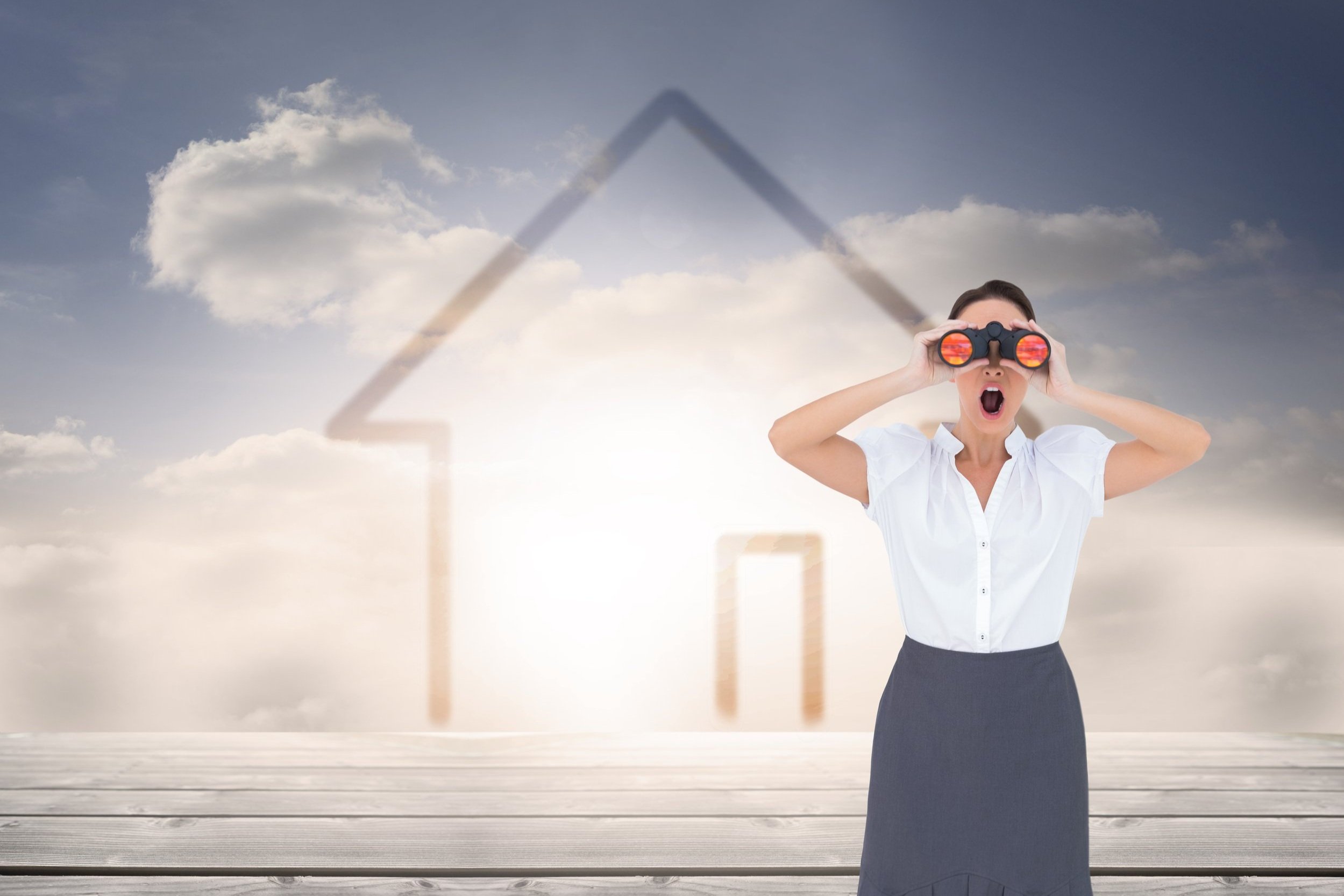 Summer Housing Market Predictions