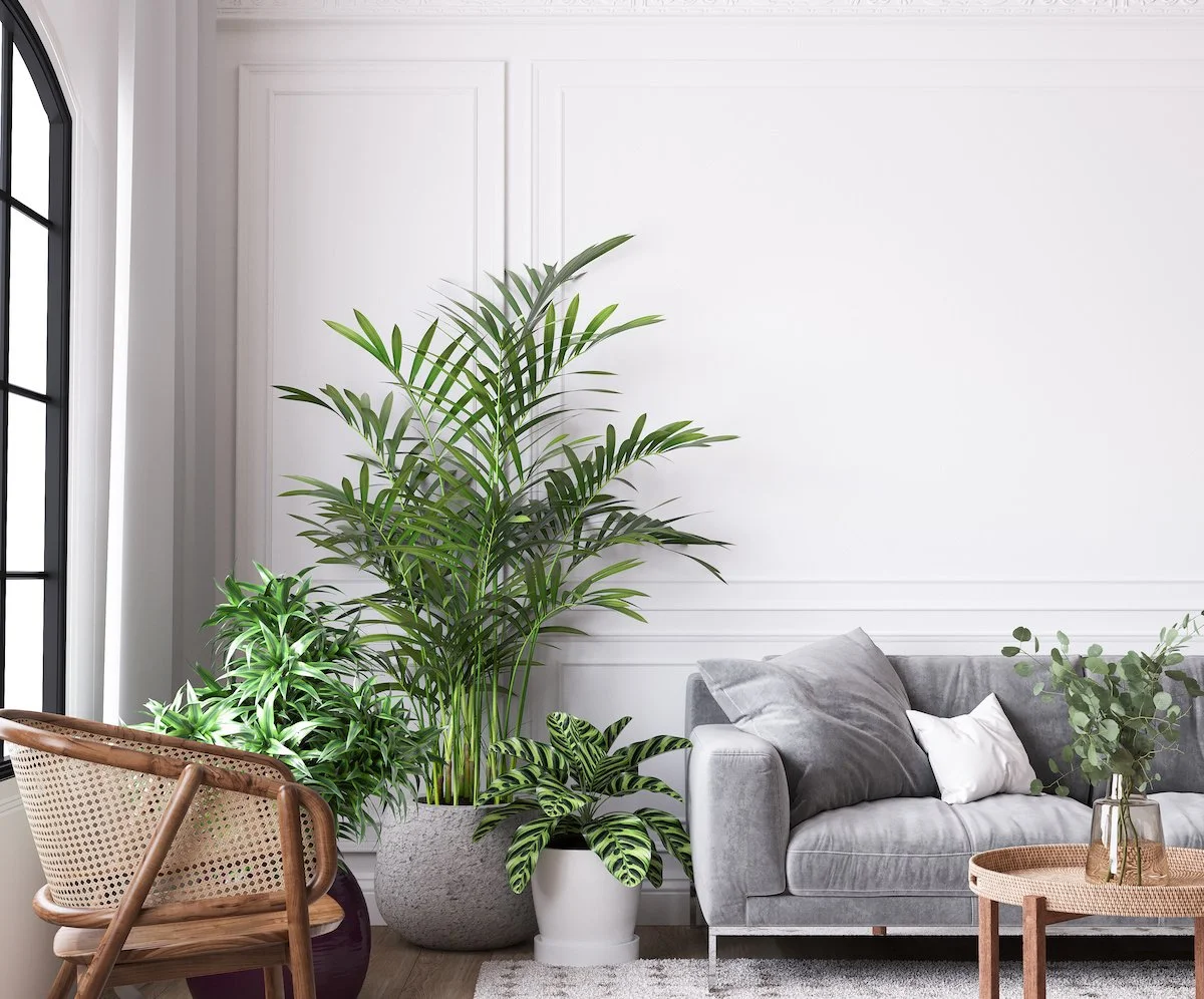 5 Home Trends Taking Over Summer 2024