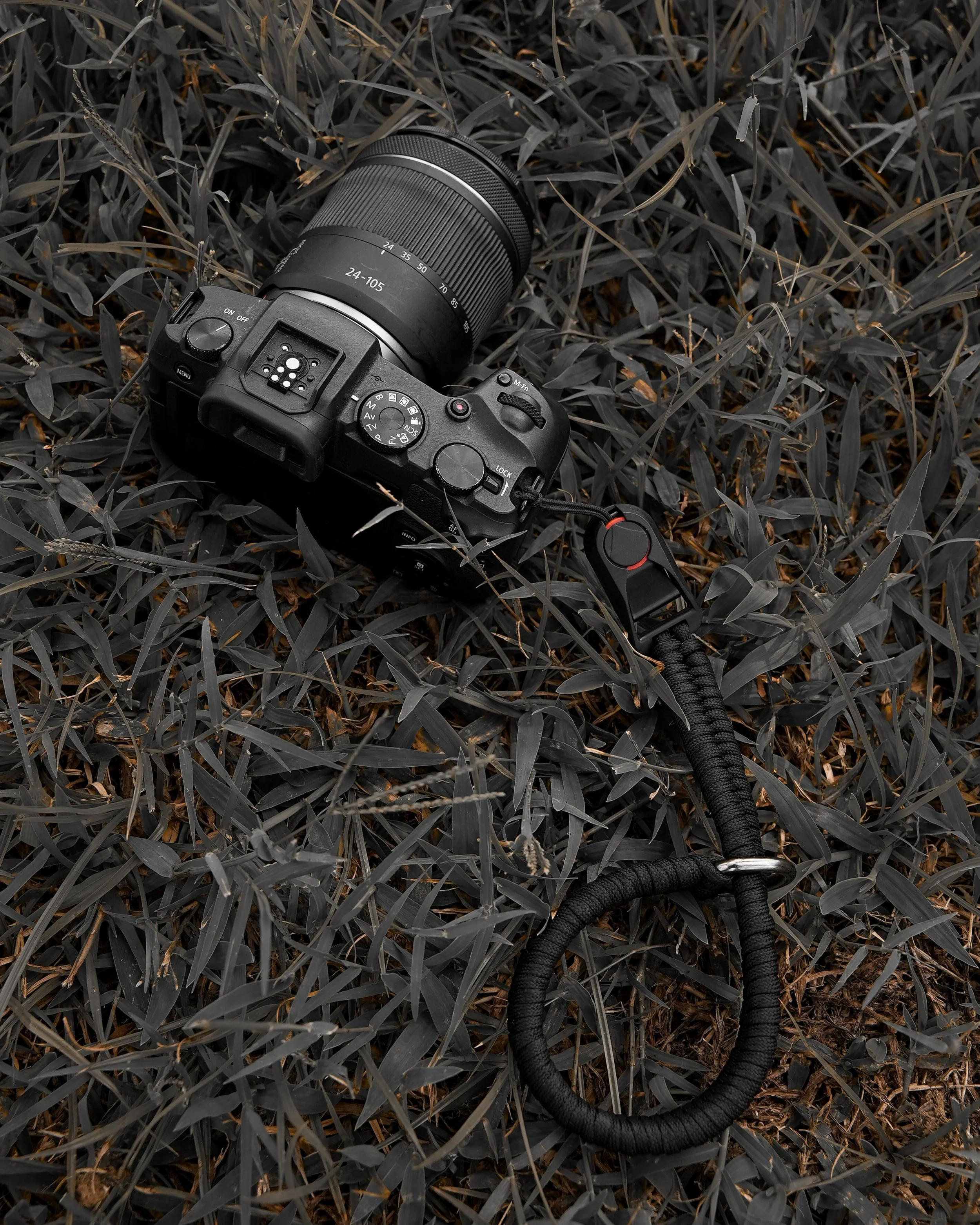 A7S00591-3.jpg