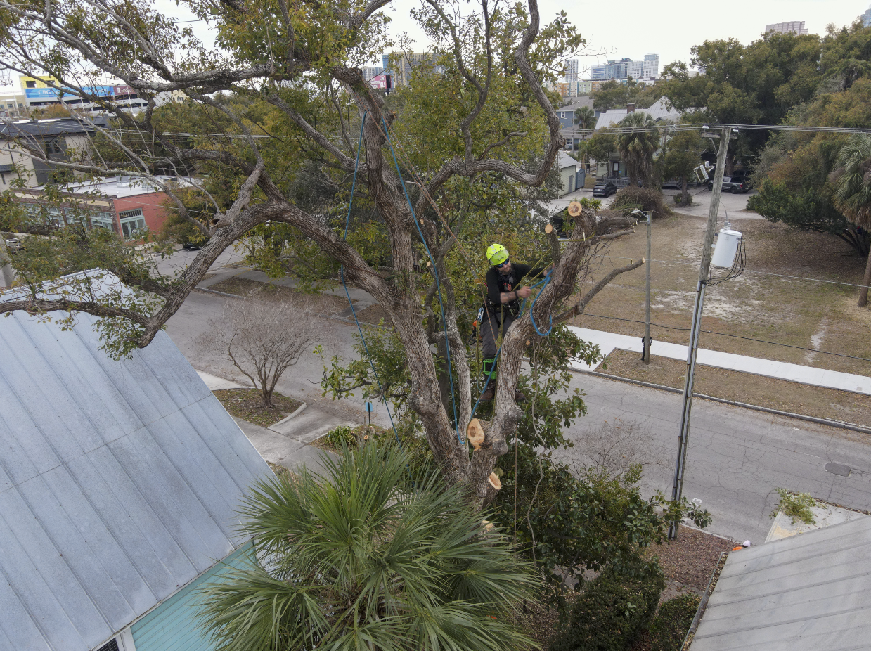 Screenshot 2026-02-11 at 11.09.20 PM.png