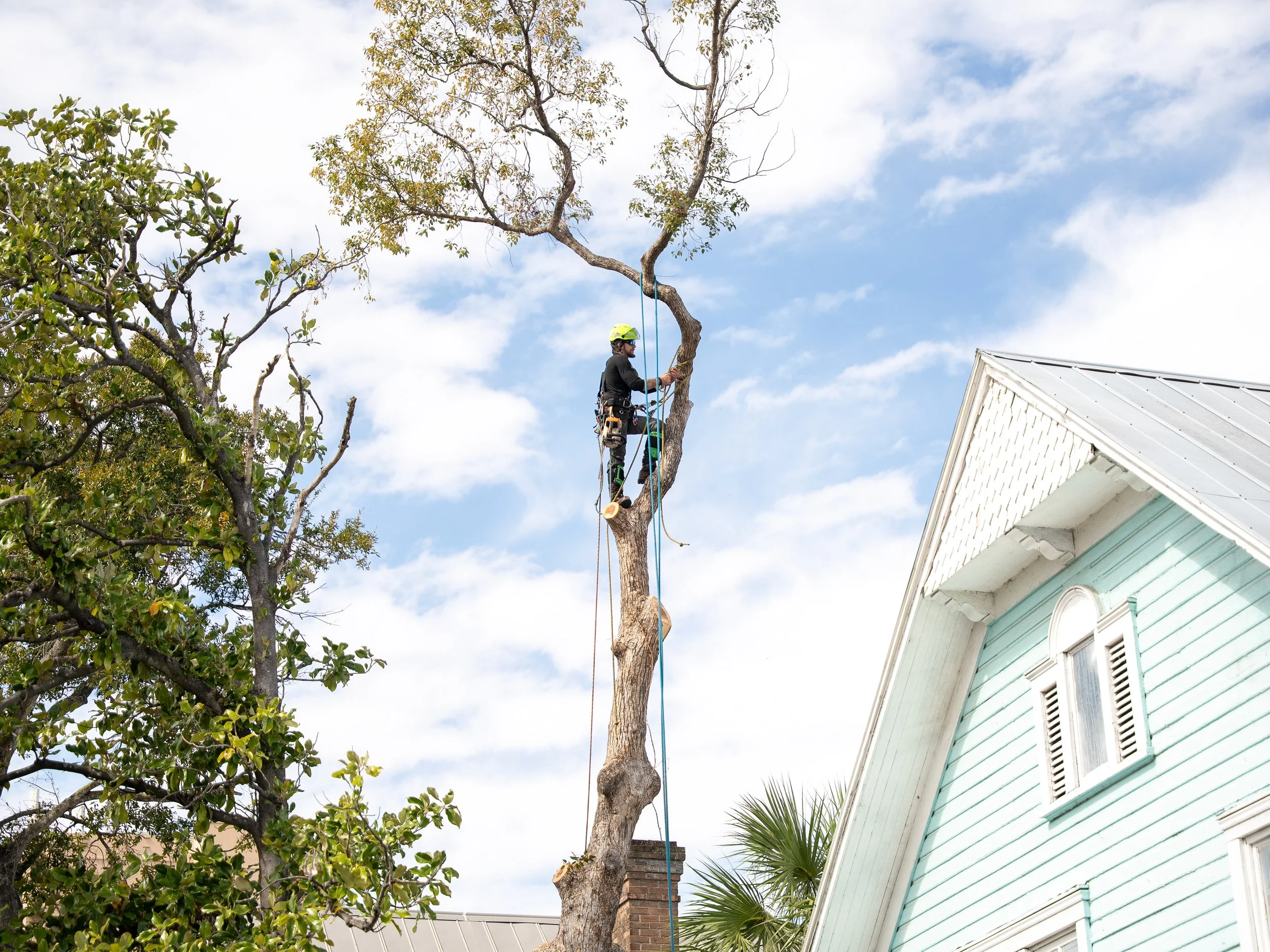 Service Based Businesses