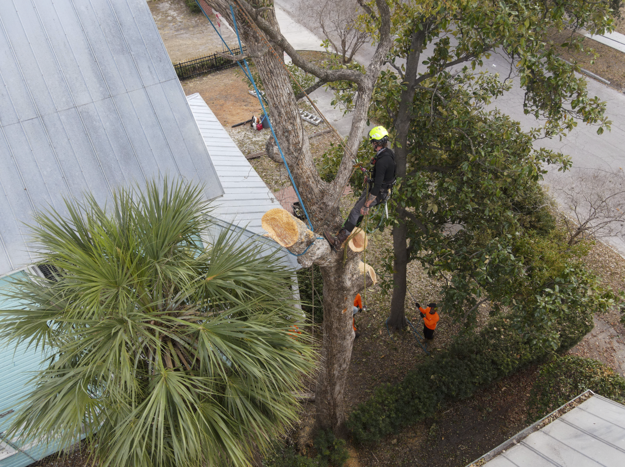 Screenshot 2026-02-11 at 11.09.51 PM.png