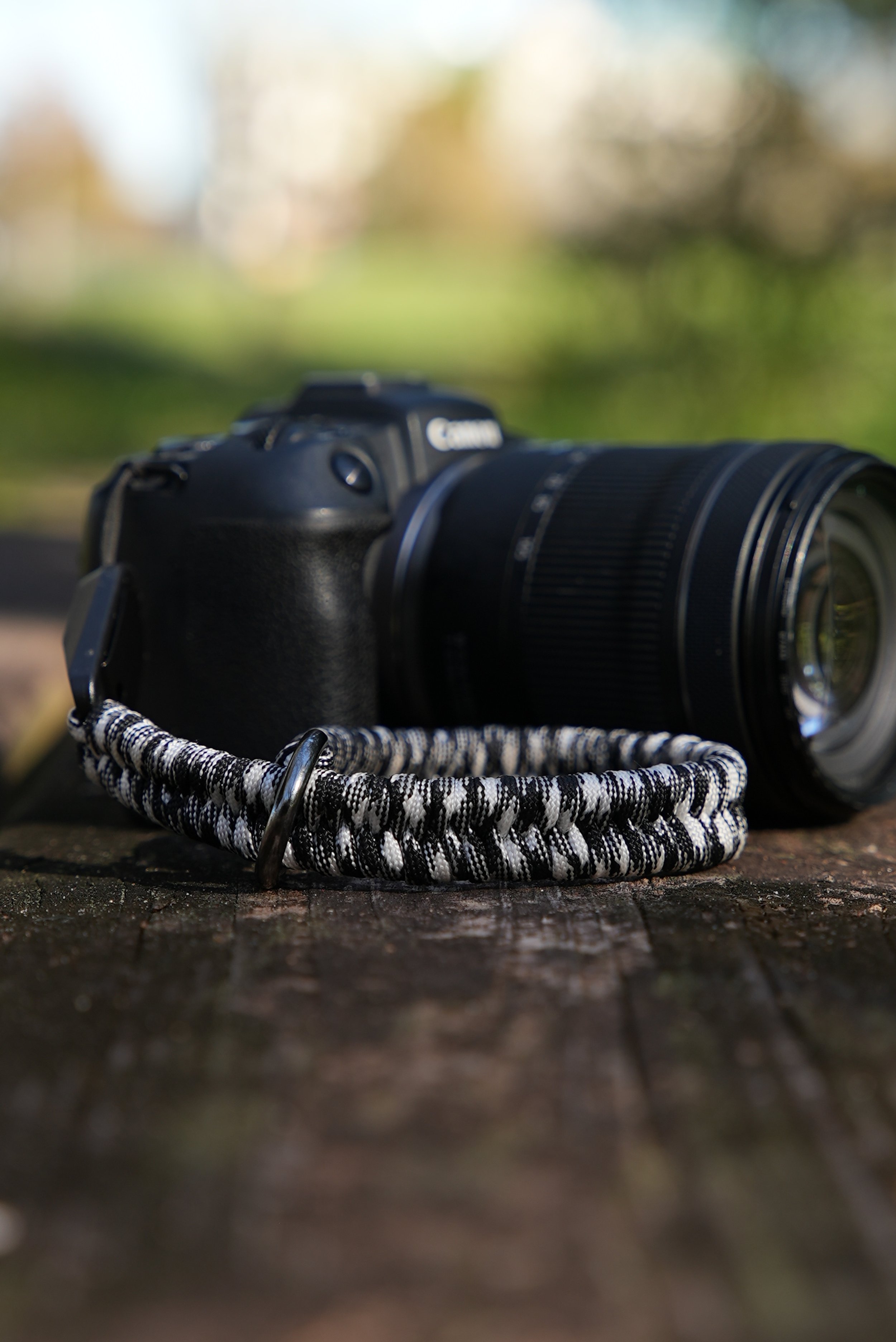 A7S00083.jpg
