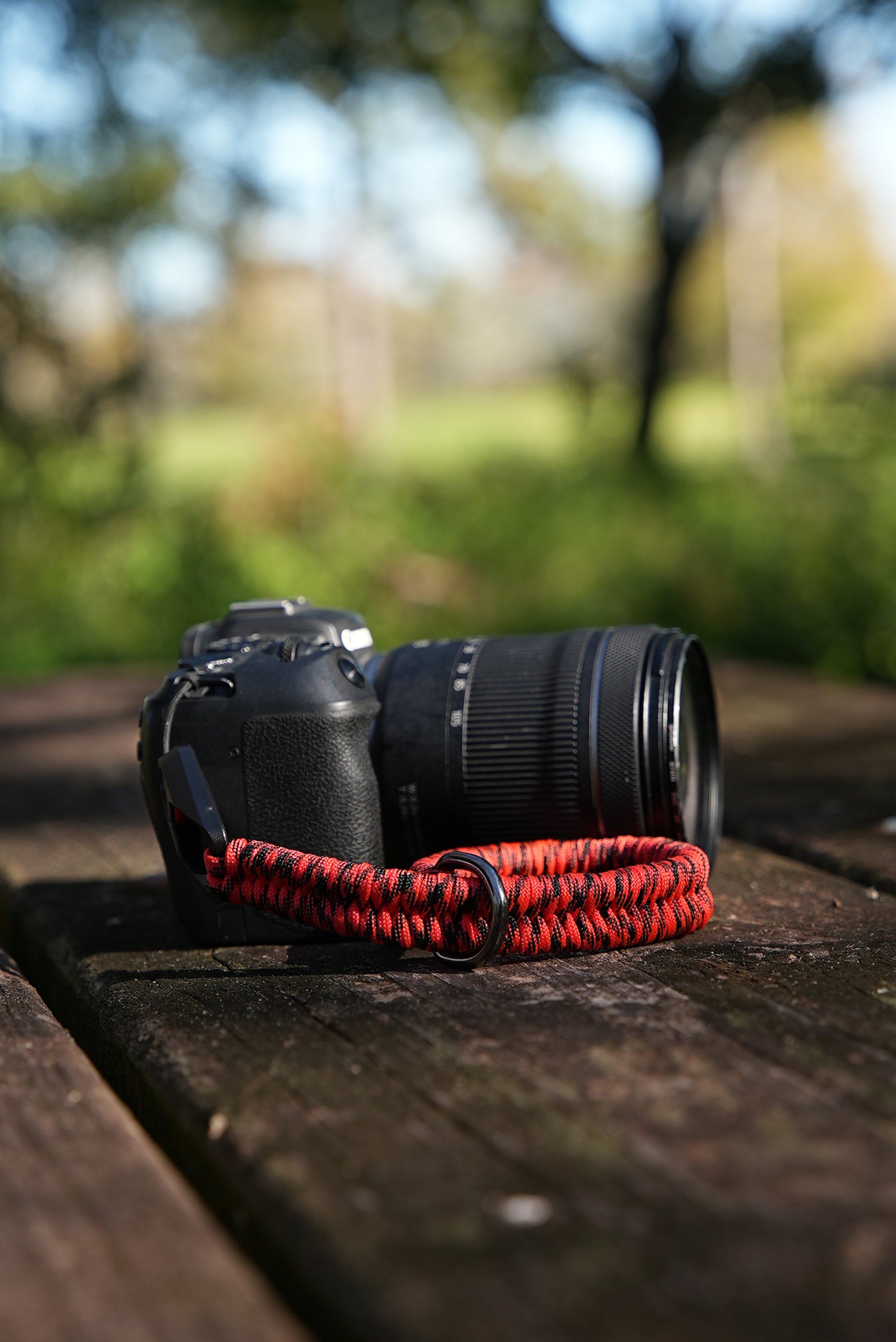 A7S00062.jpg
