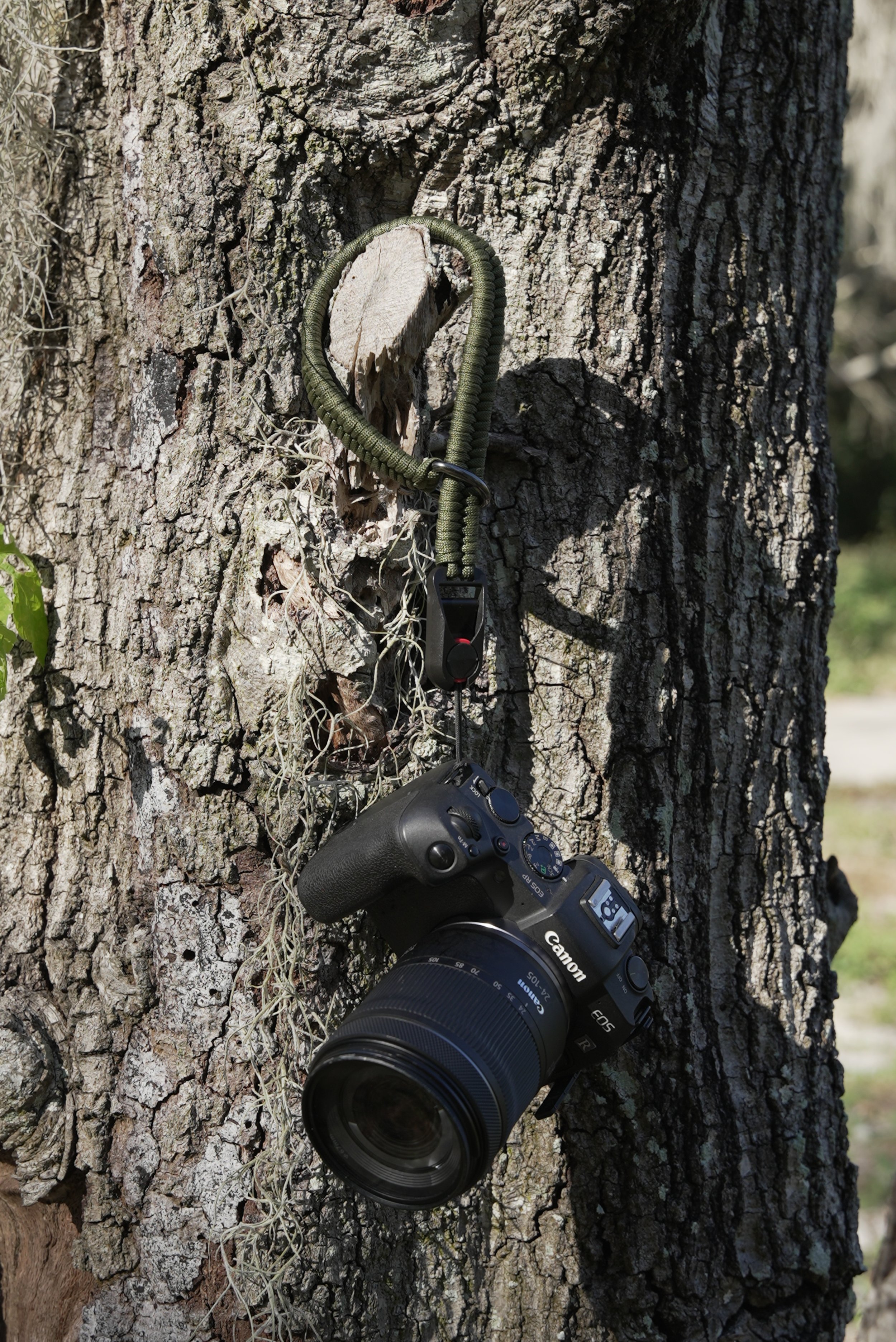 A7S00019.jpg