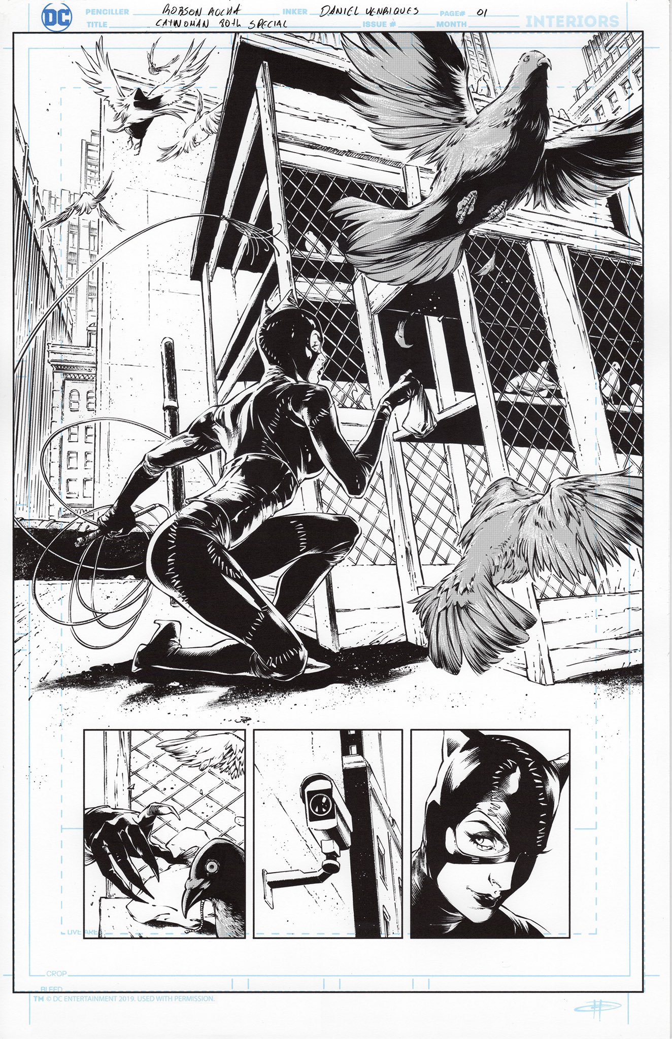 Catwoman 80th Anniversary Special Cover #1 Pencils: Robson Rocha Inks: Daniel Henriques