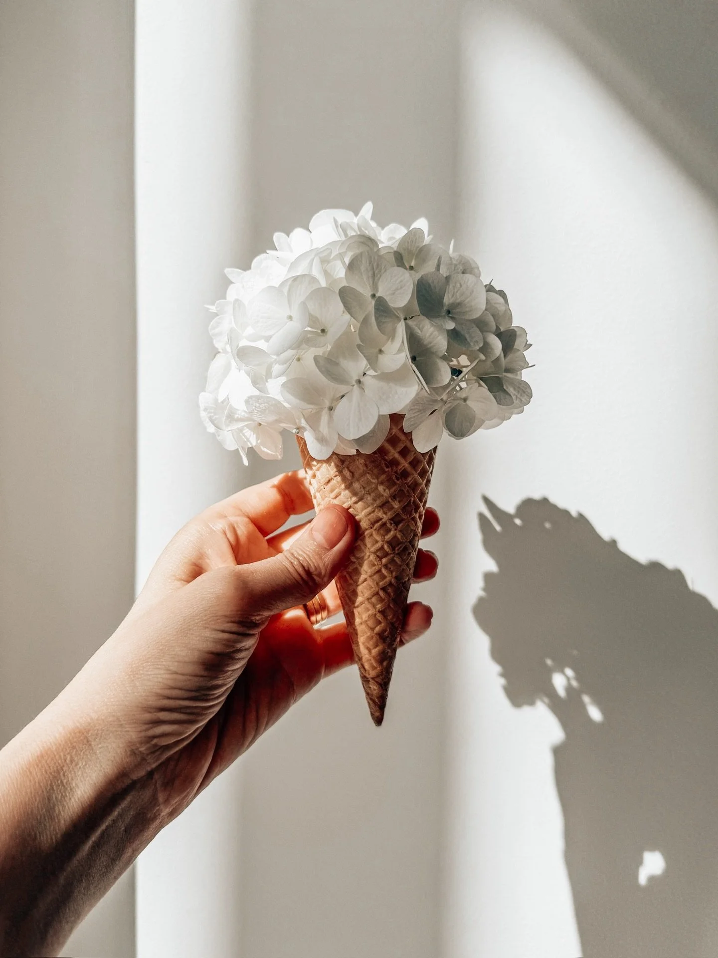 It&rsquo;s happens that quickly - as soon as you laugh, your nervous system immediately switches from fight or flight to rest and digest.

Today&rsquo;s Art Therapy is designed to do just that! 

Just grab an ice-cream cone and a flower that could pa