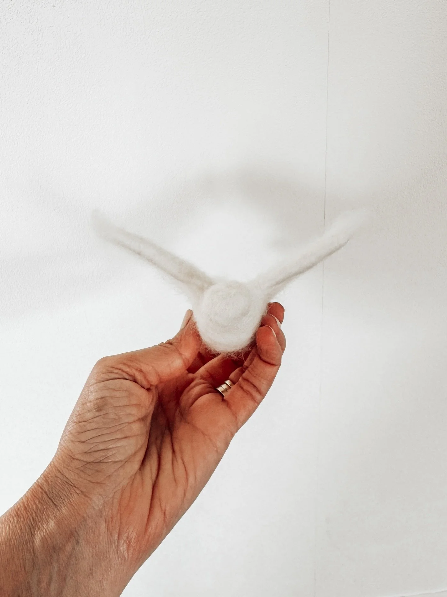 For those wanting to watch the livestream of Mum&rsquo;s funeral tomorrow, the link will be in my stories and then highlight on Instagram. 
.
Funeral details 20 February 2026, 2:00pm NZ time at Purewa Cemetery and Crematorium, St John&rsquo;s Road, M