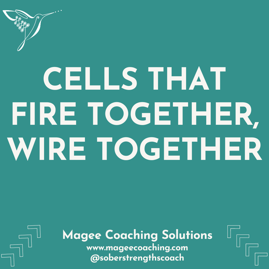“Cells that Wire Together, Fire Together” (LESSON 16)