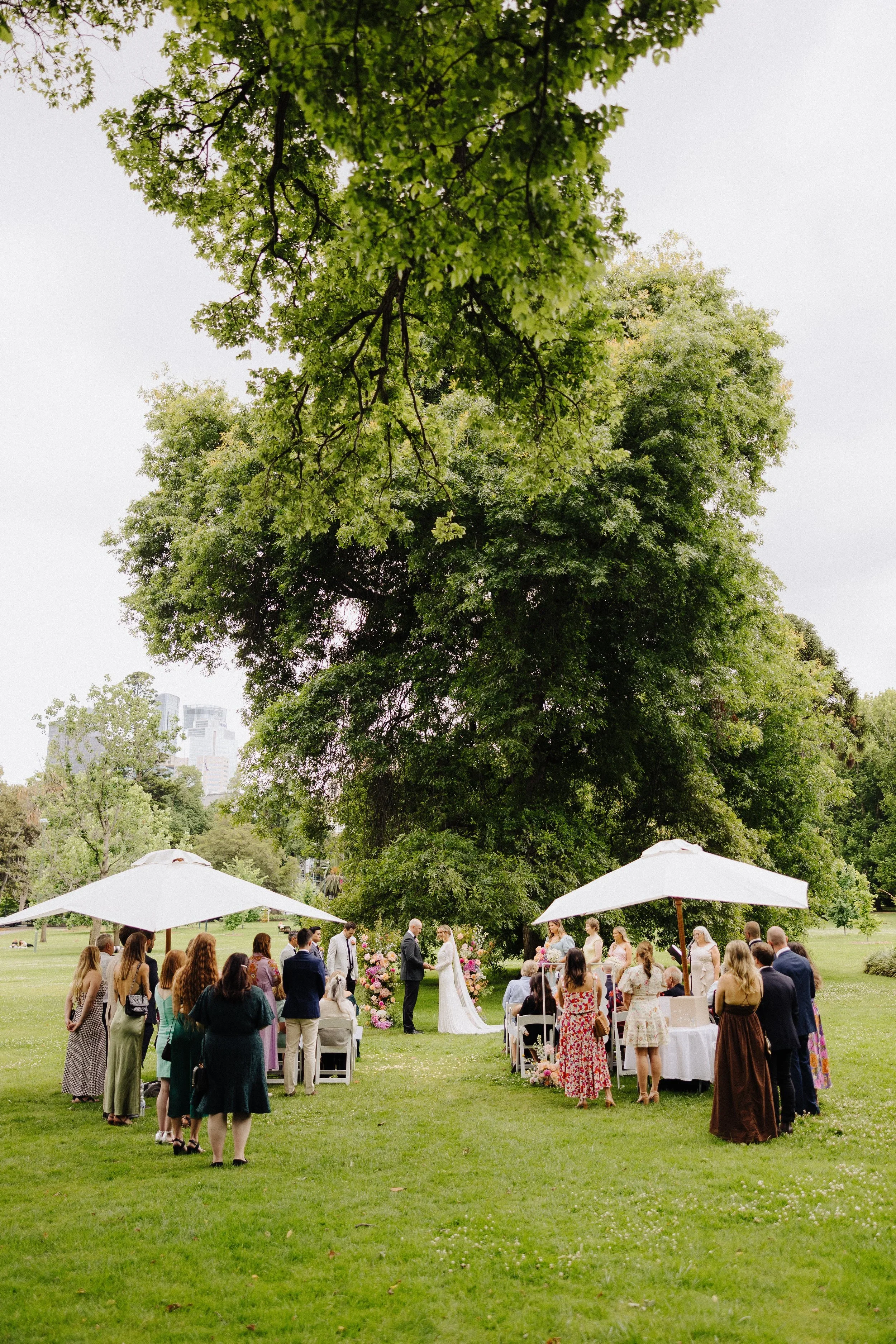 Sunlit elm canopy at Fitzroy Gardens, a garden wedding ceremony setting in East Melbourne