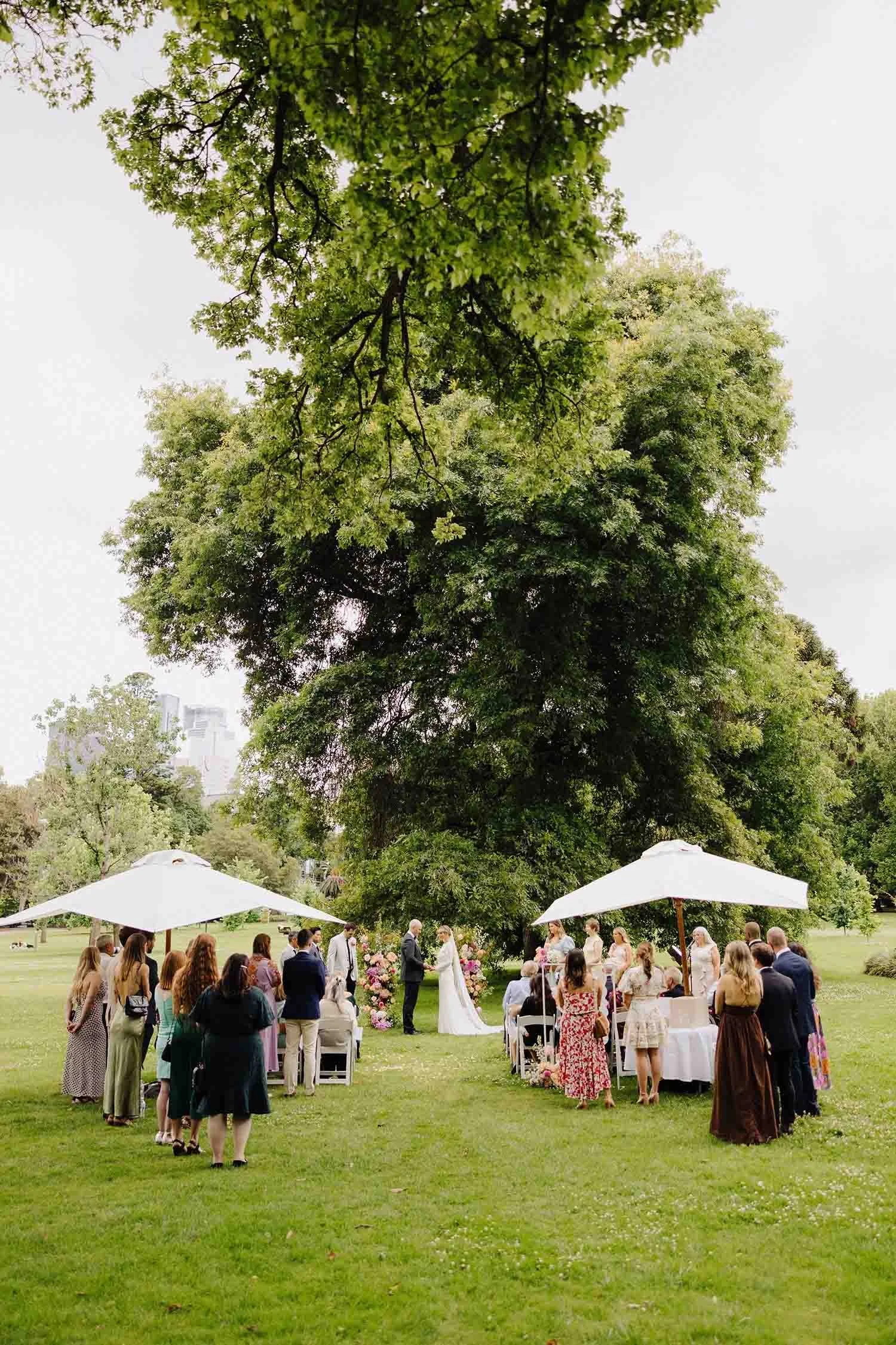 Aisling and Alex exchange vows beneath a towering elm at Fitzroy Gardens, their guests gathered under white umbrellas.