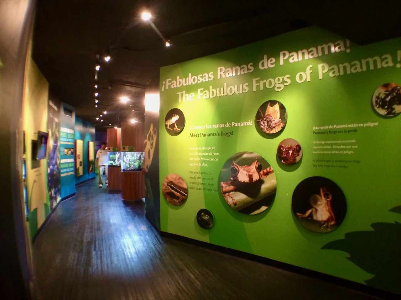 Arquitectura narrativa: creación de recorridos y experiencias para espacios públicos.