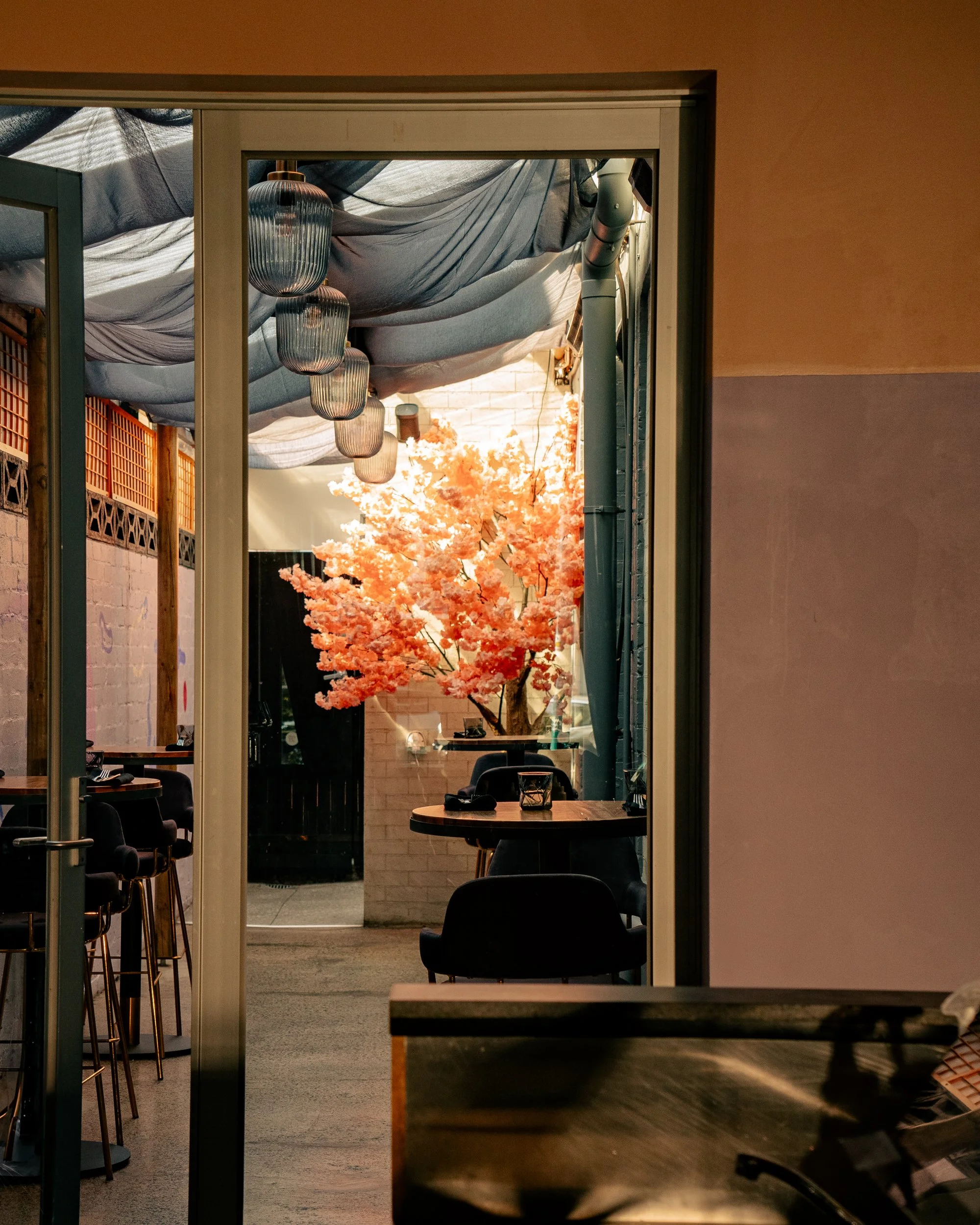 Interior view of a restaurant with dark chairs, wooden tables, a large pink cherry blossom tree decor, and hanging lanterns, seen through a glass door.