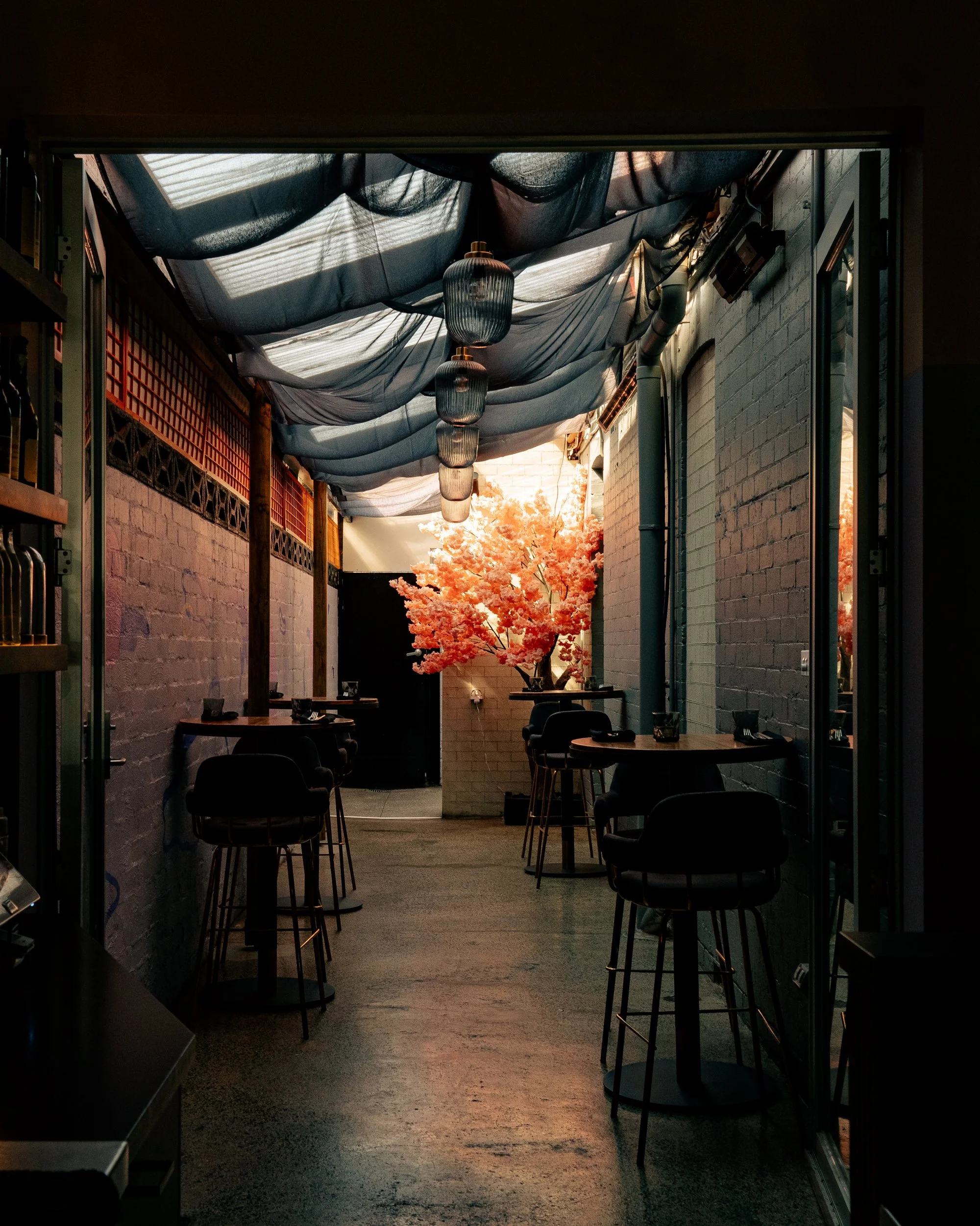 Interior of a cozy restaurant with a pink cherry blossom tree centerpiece, black chairs and tables, and black fabric draped ceiling with hanging lantern lights.