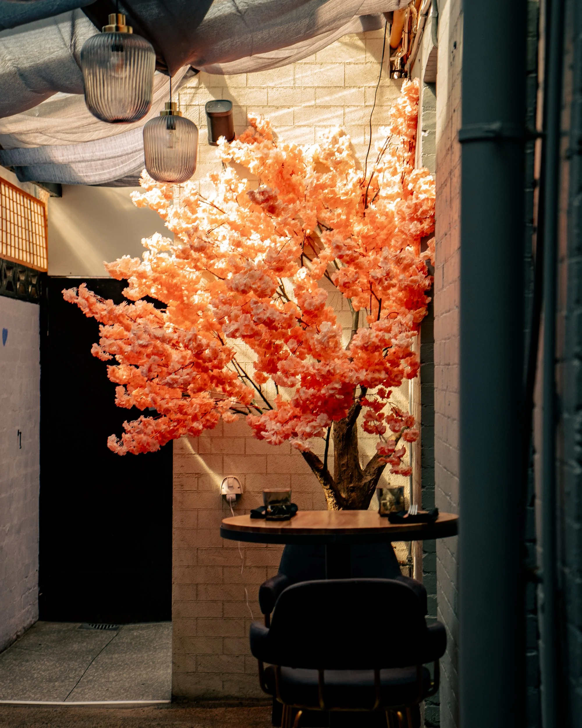 Indoor space with a pink artificial cherry blossom tree, a small round table, two black chairs, hanging pendant lights, and fabric ceiling covering.