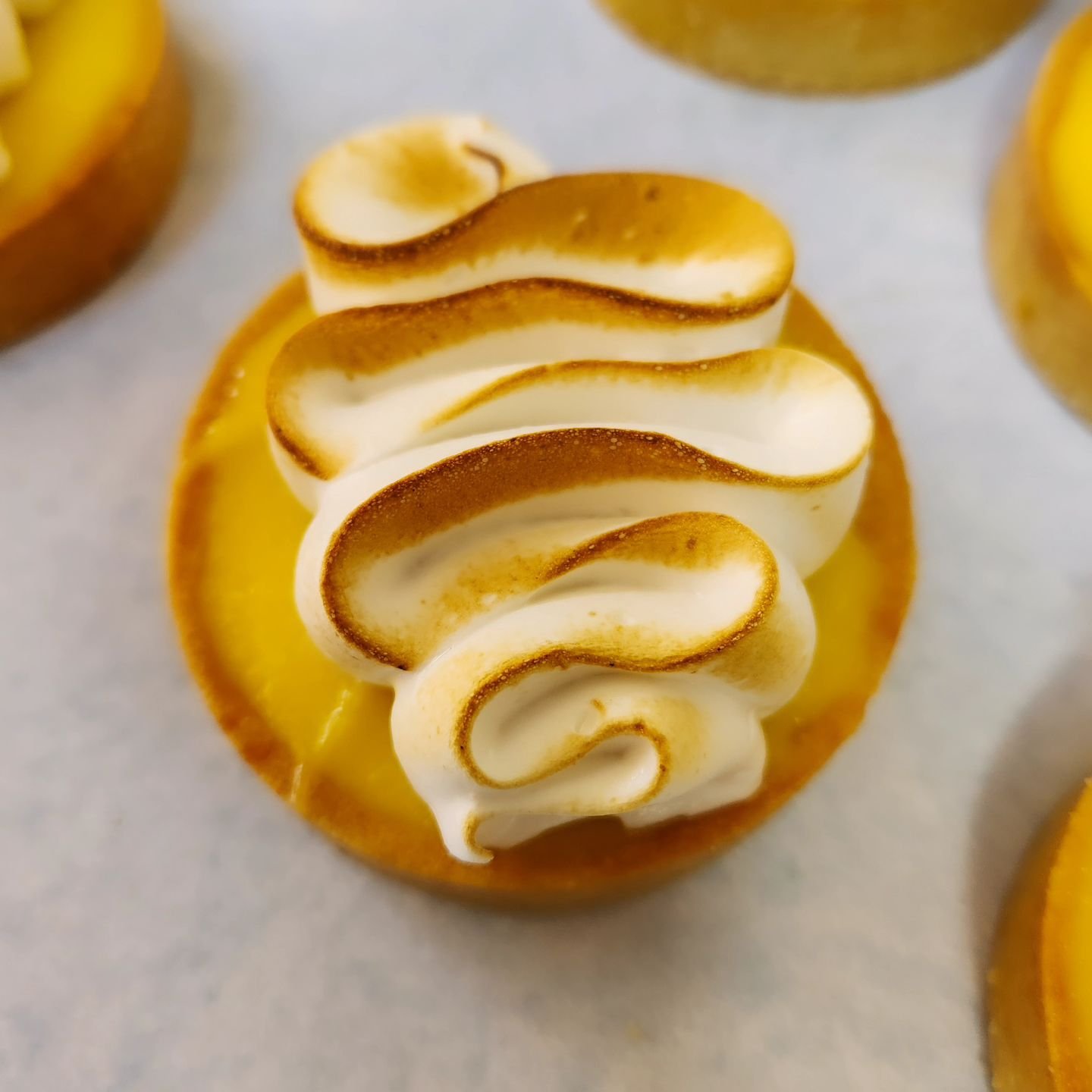 French lemon tarts with toasted meringue
#tarteaucitron#lemon#springvibes#tarts#pastry#bakedfromscratch#withlove#eatlocal#smallbusiness#shortandsweetbakery#pnwbaker